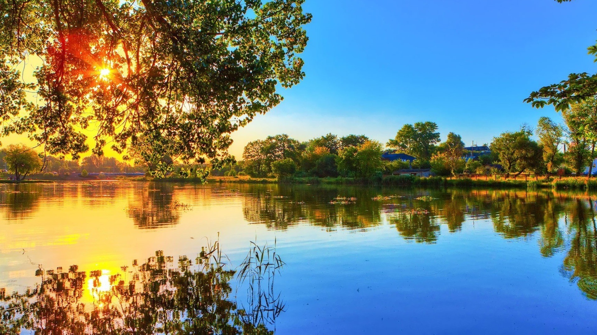 Sunrise over a calm river with trees and reflections HD Wallpaper