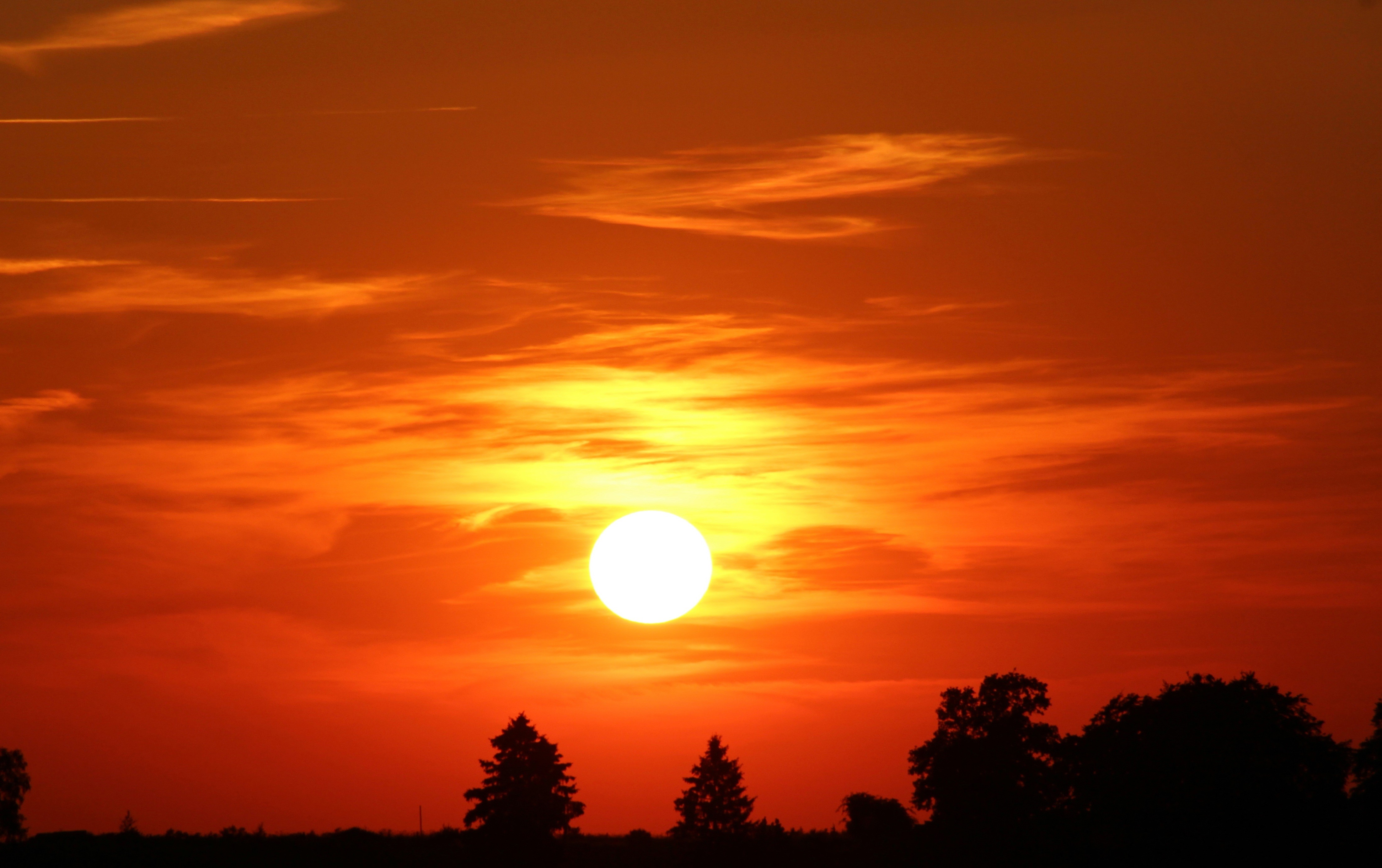 Sunset over a silhouetted landscape with trees HD Wallpaper