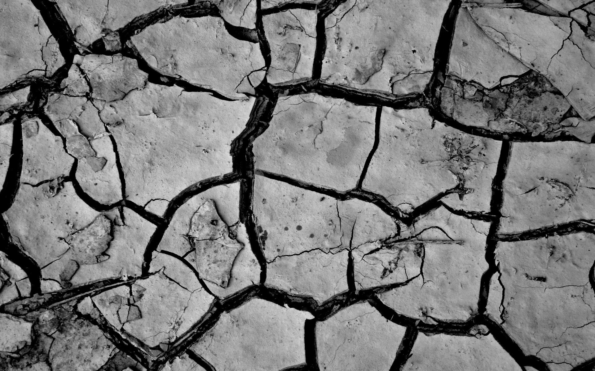 Close-up of cracked dry earth surface HD Wallpaper