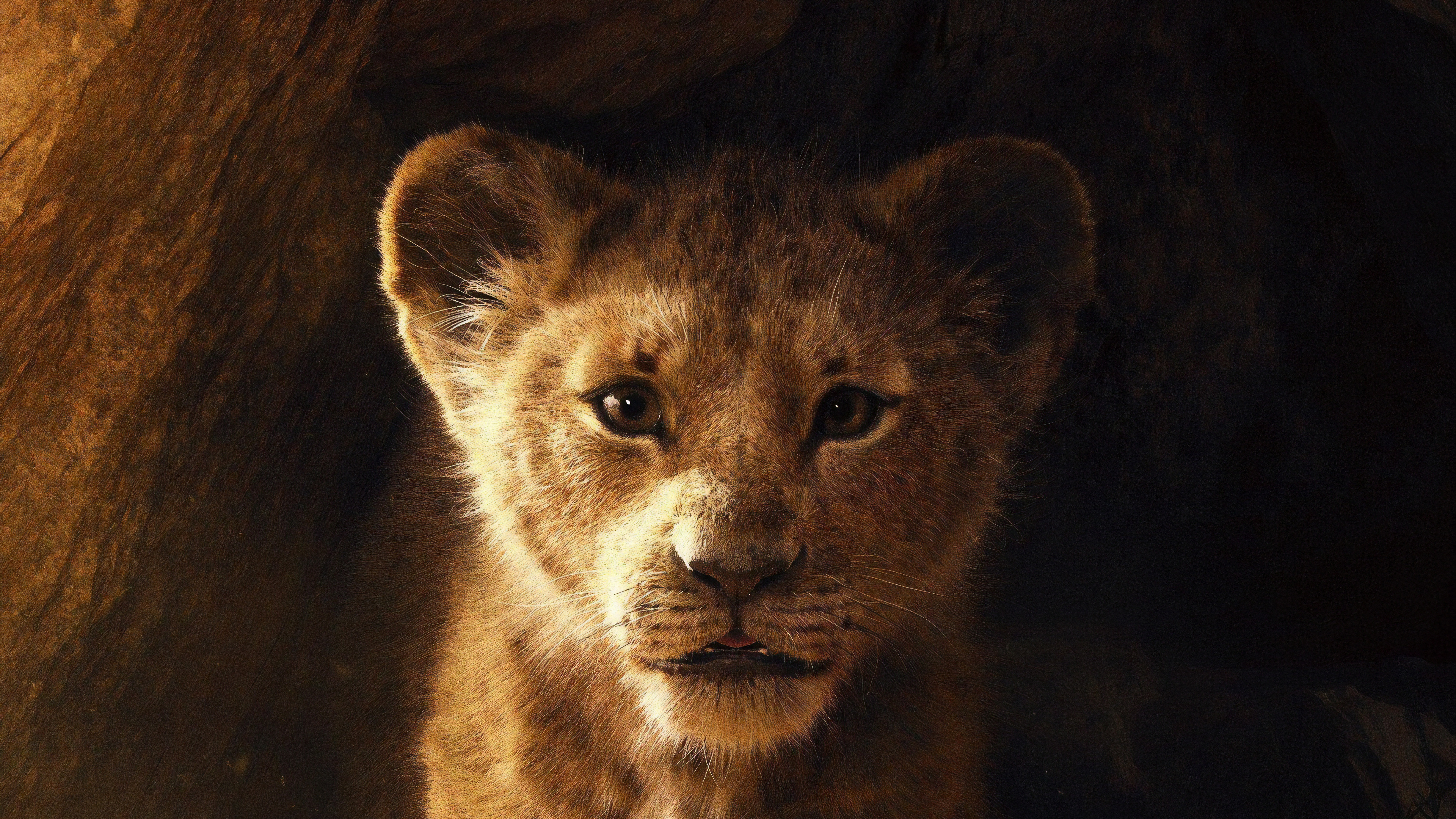 Simba from The Lion King 4K HD Wallpaper