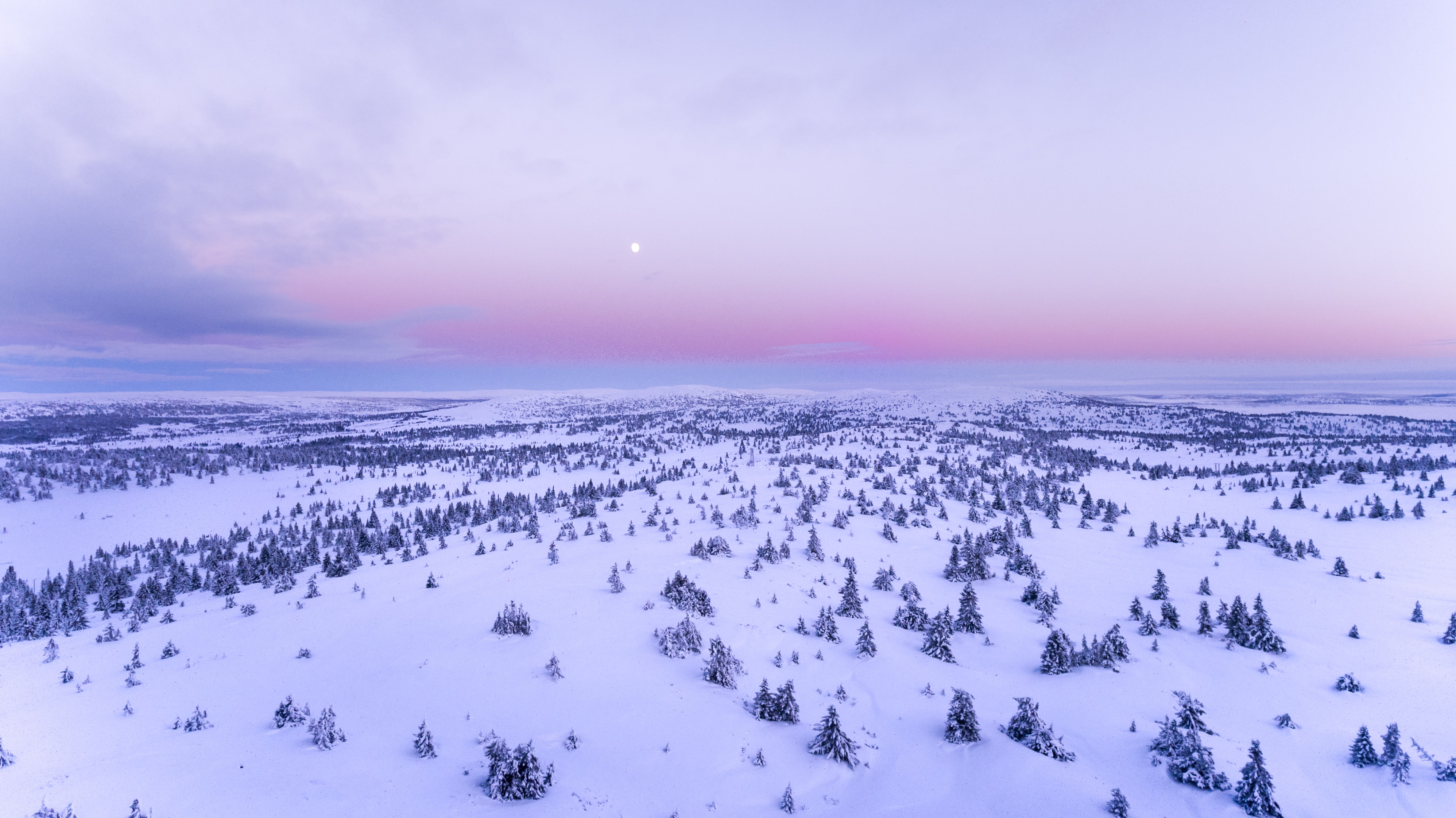 Aerial view of a snow-covered field with trees at sunset HD Wallpaper