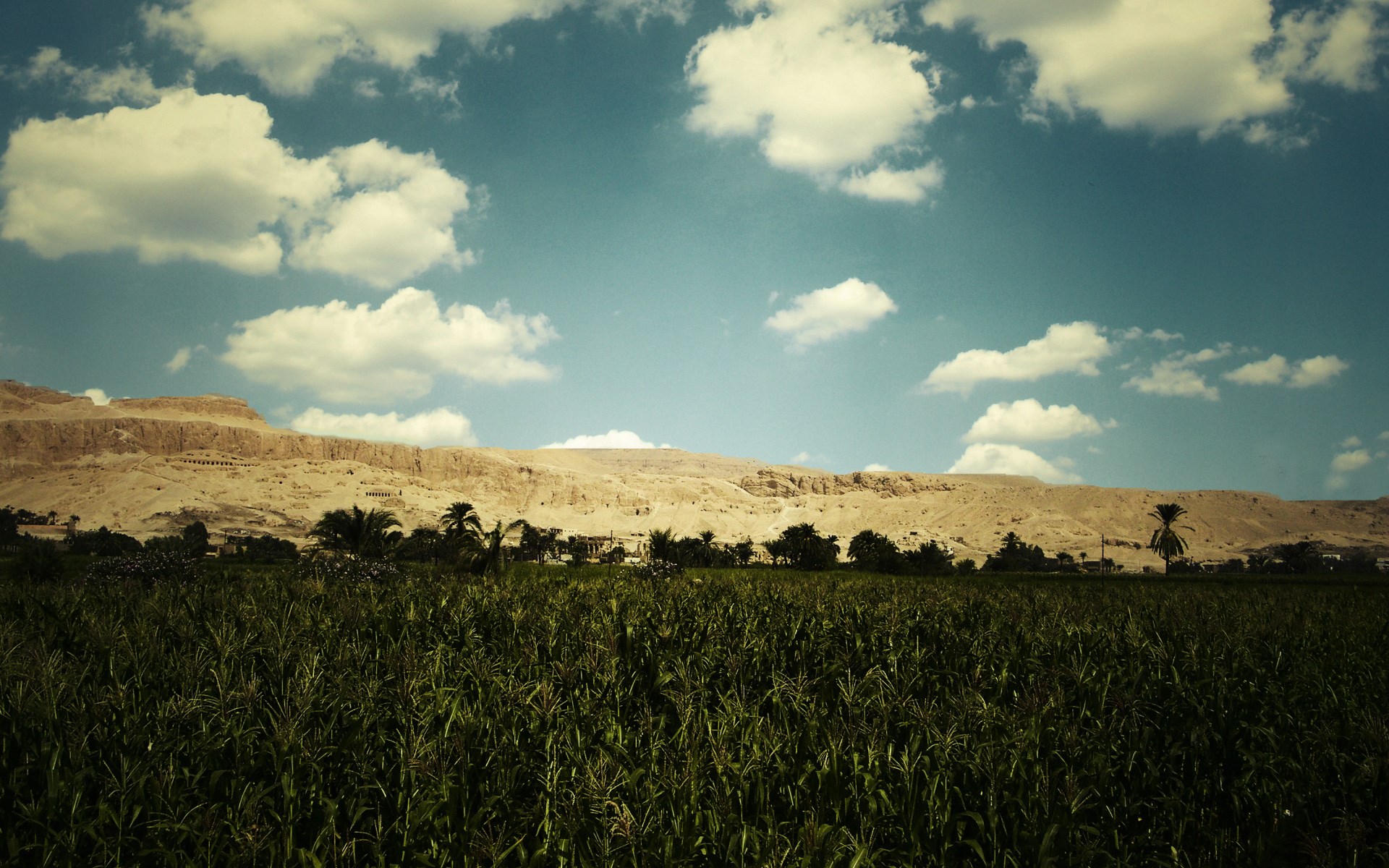 Green field and ancient ruins under a cloudy sky HD Wallpaper