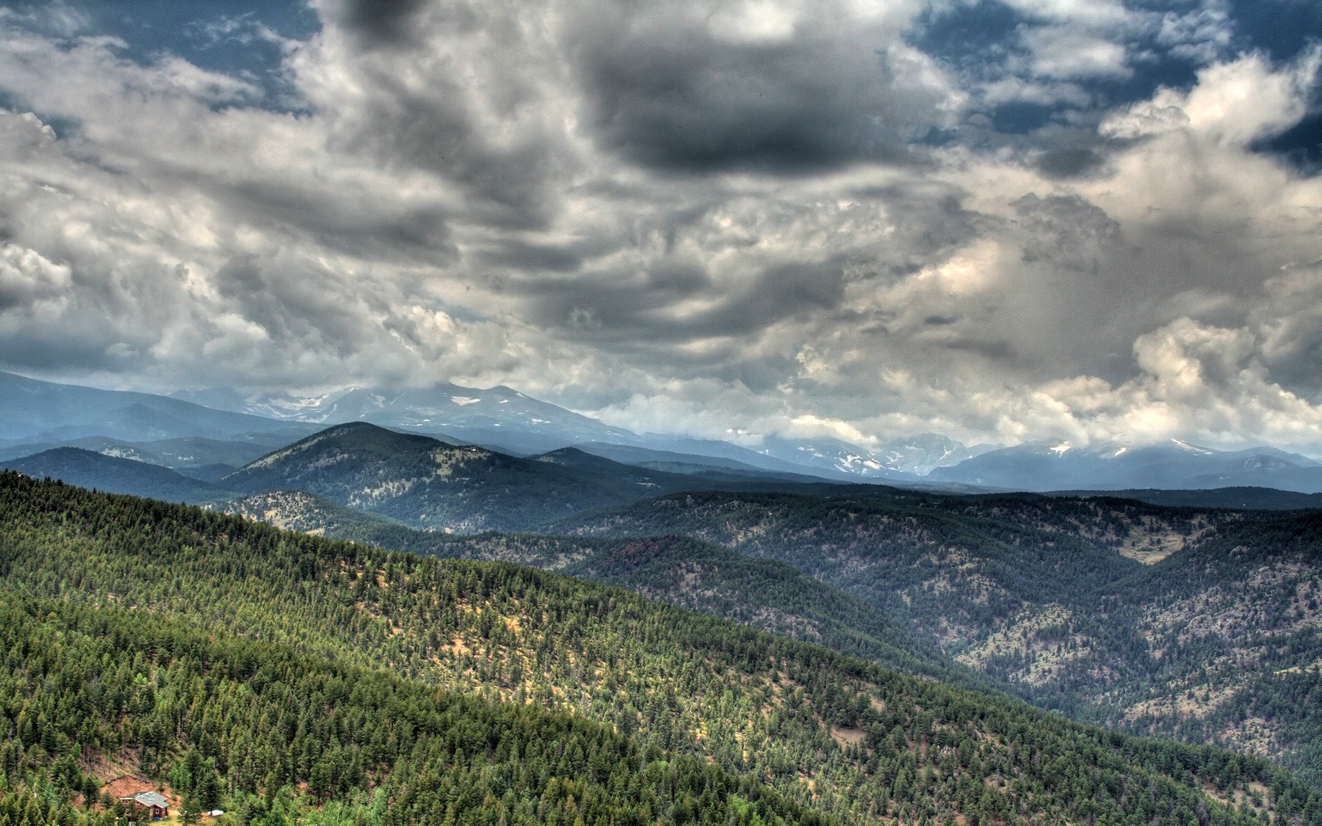 Mountain range with pine forest and cloudy sky HD Wallpaper
