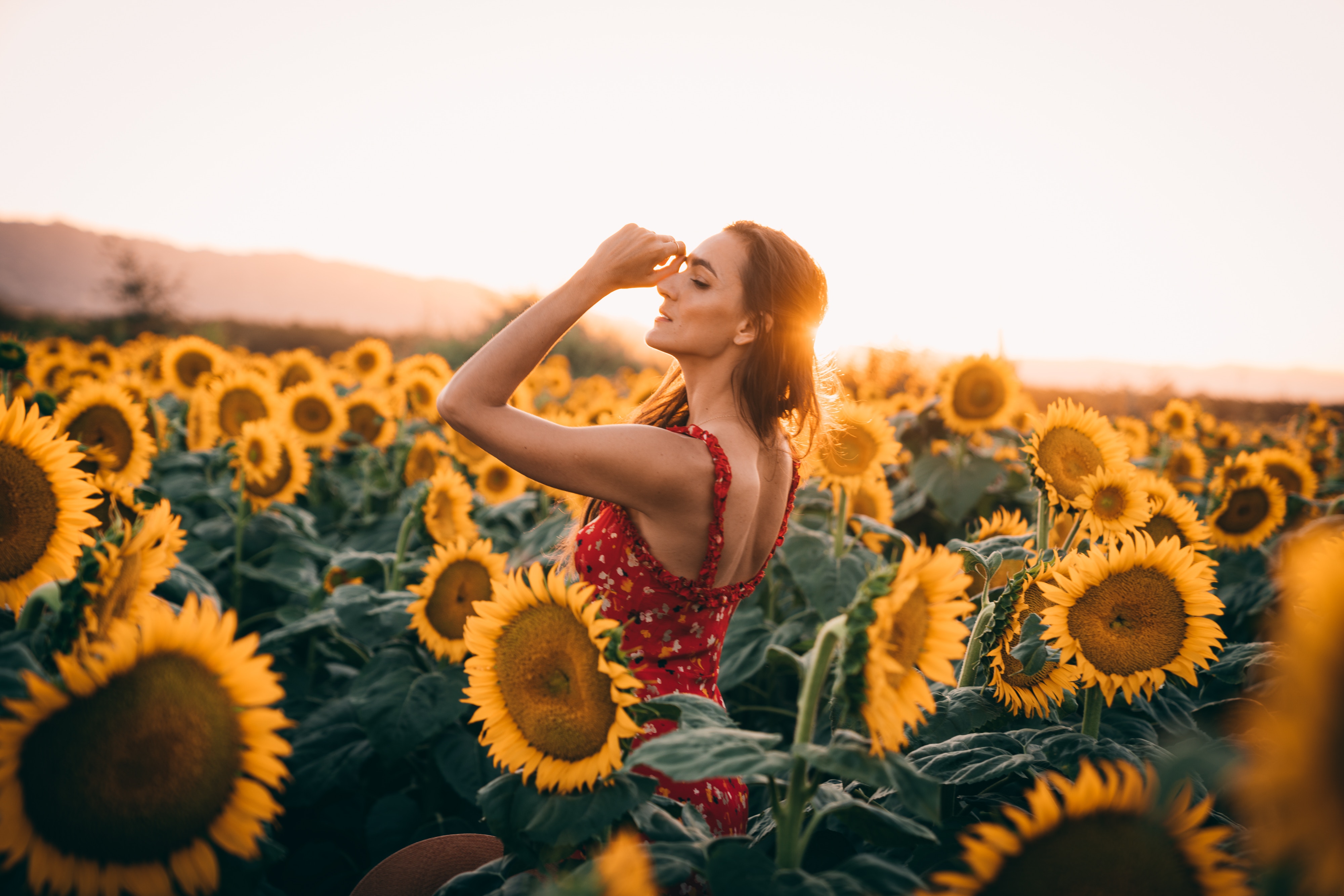 Woman in red dress in sunflower field at sunset HD Wallpaper