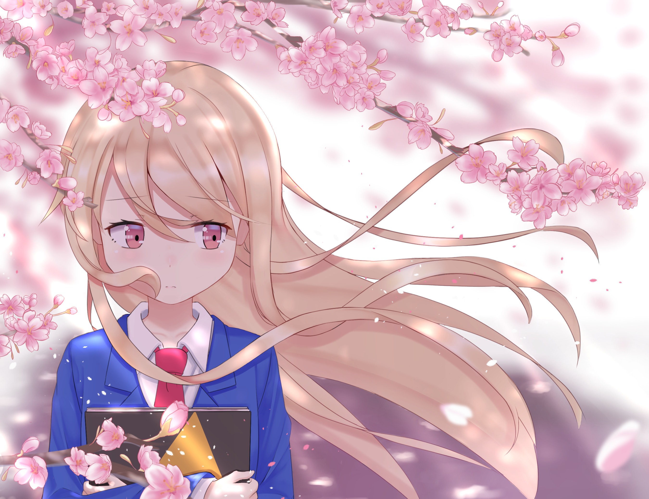 Mashiro Shiina with Cherry Blossoms HD Wallpaper