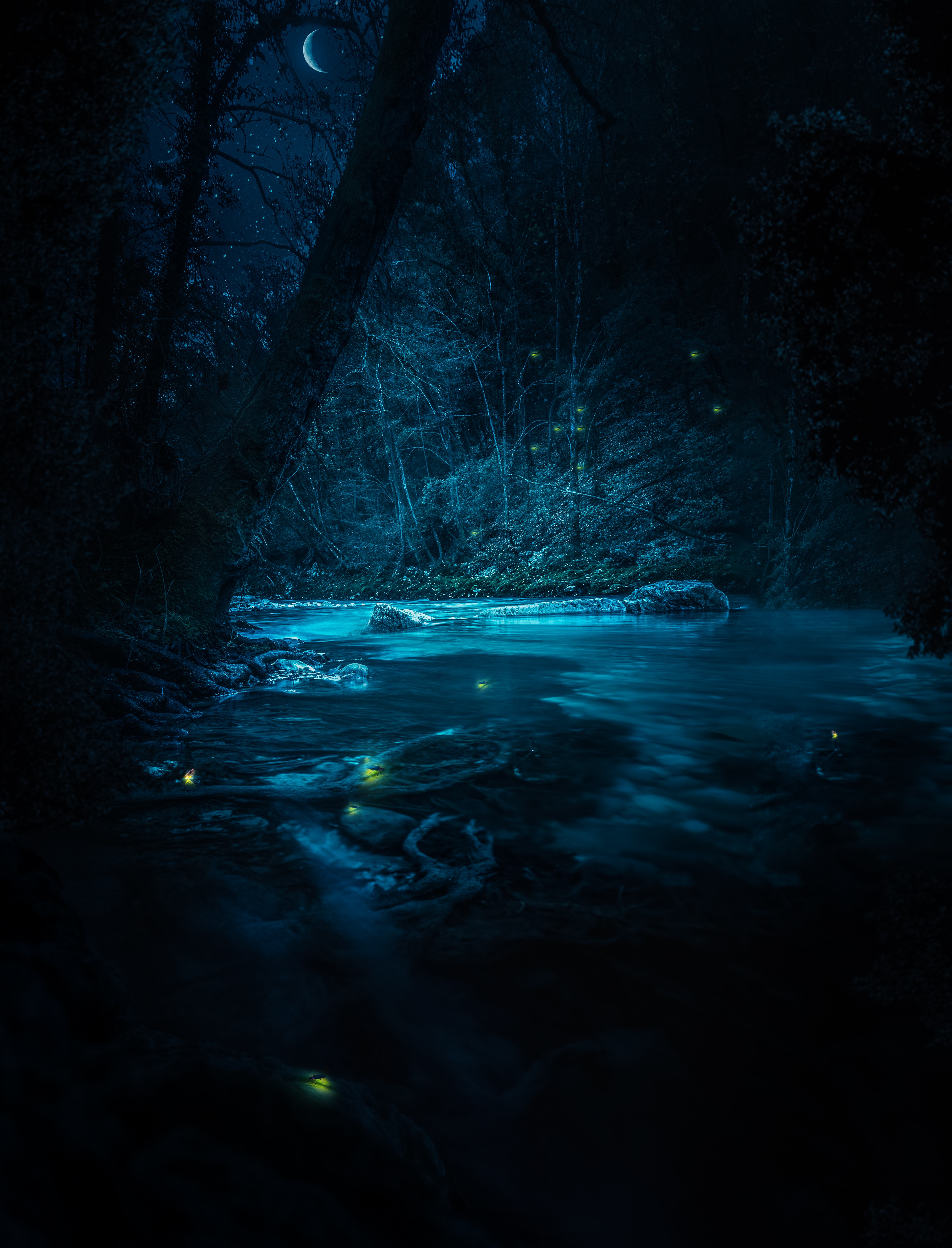 Night forest river with fireflies and moon HD Wallpaper