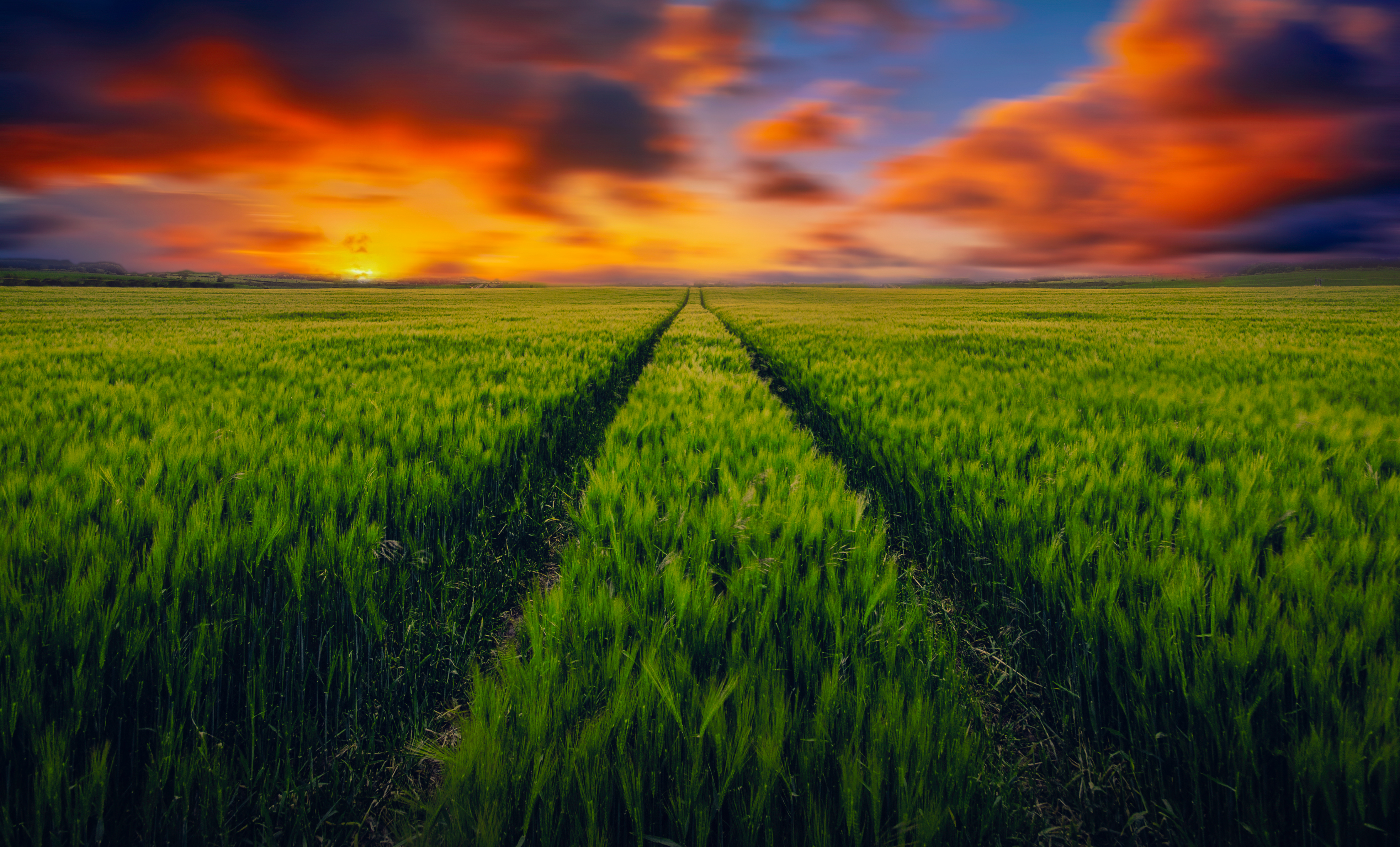 4K Green Grass Field at Sunset HD Wallpaper
