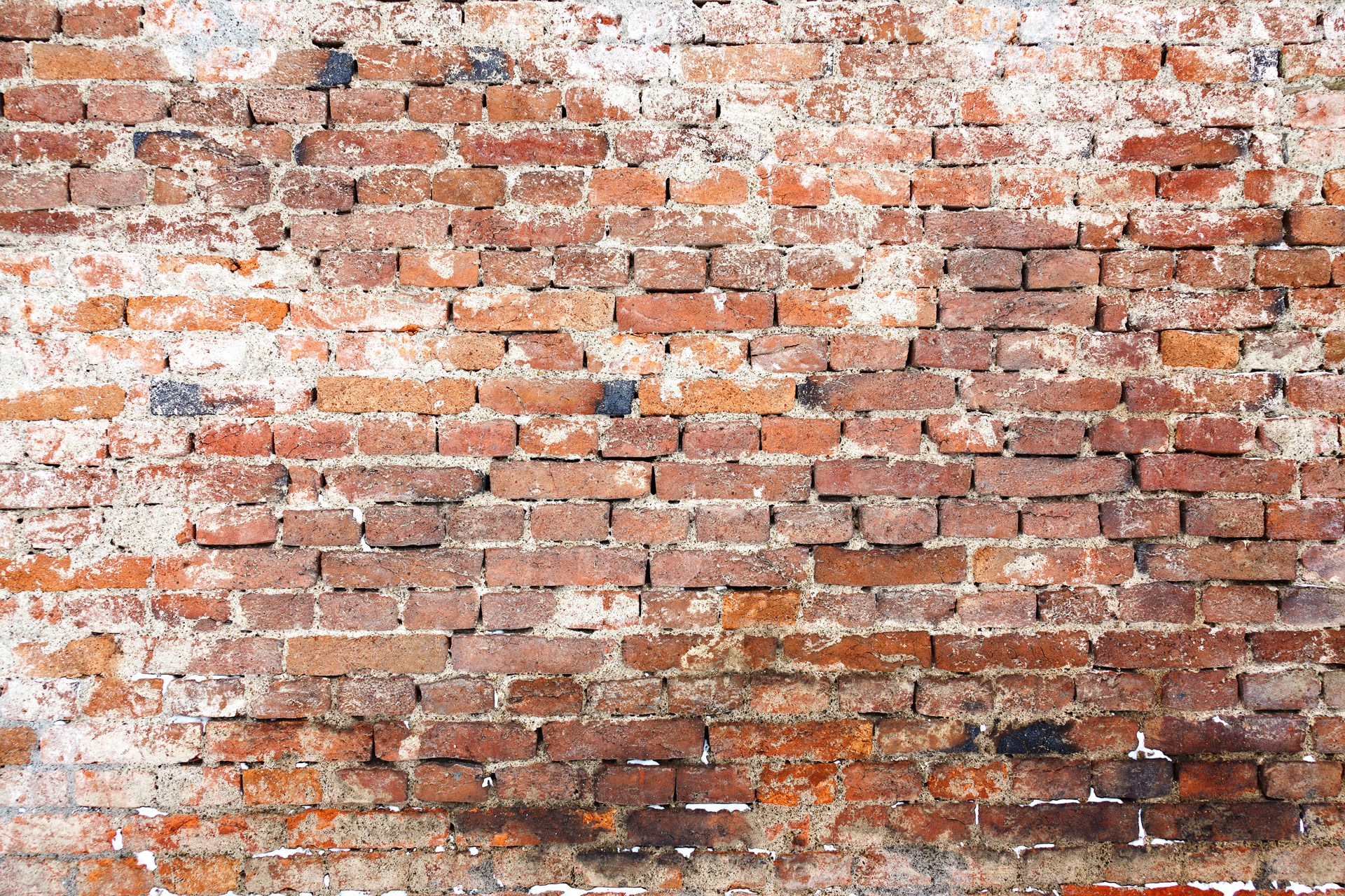 A weathered brick wall with visible mortar HD Wallpaper