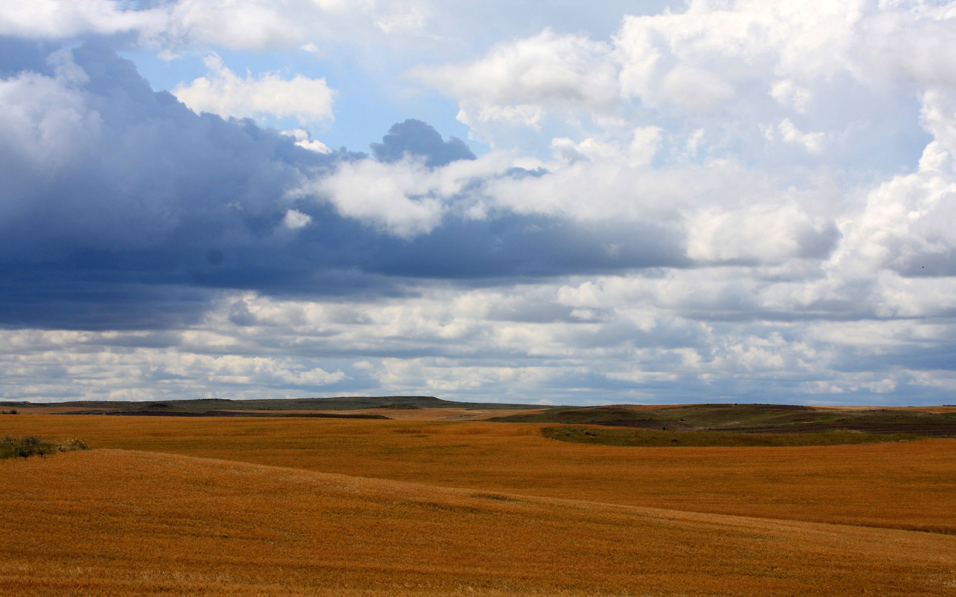Golden fields under a cloudy sky HD Wallpaper