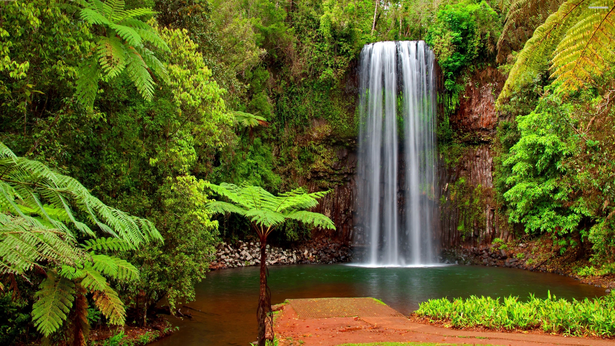 Waterfall in a lush green forest HD Wallpaper