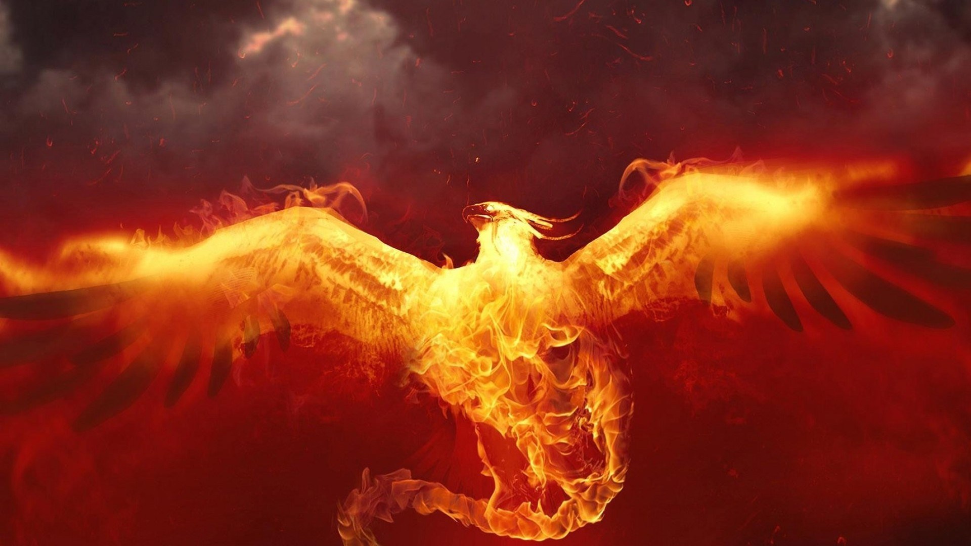 Phoenix made of fire in dark sky HD Wallpaper