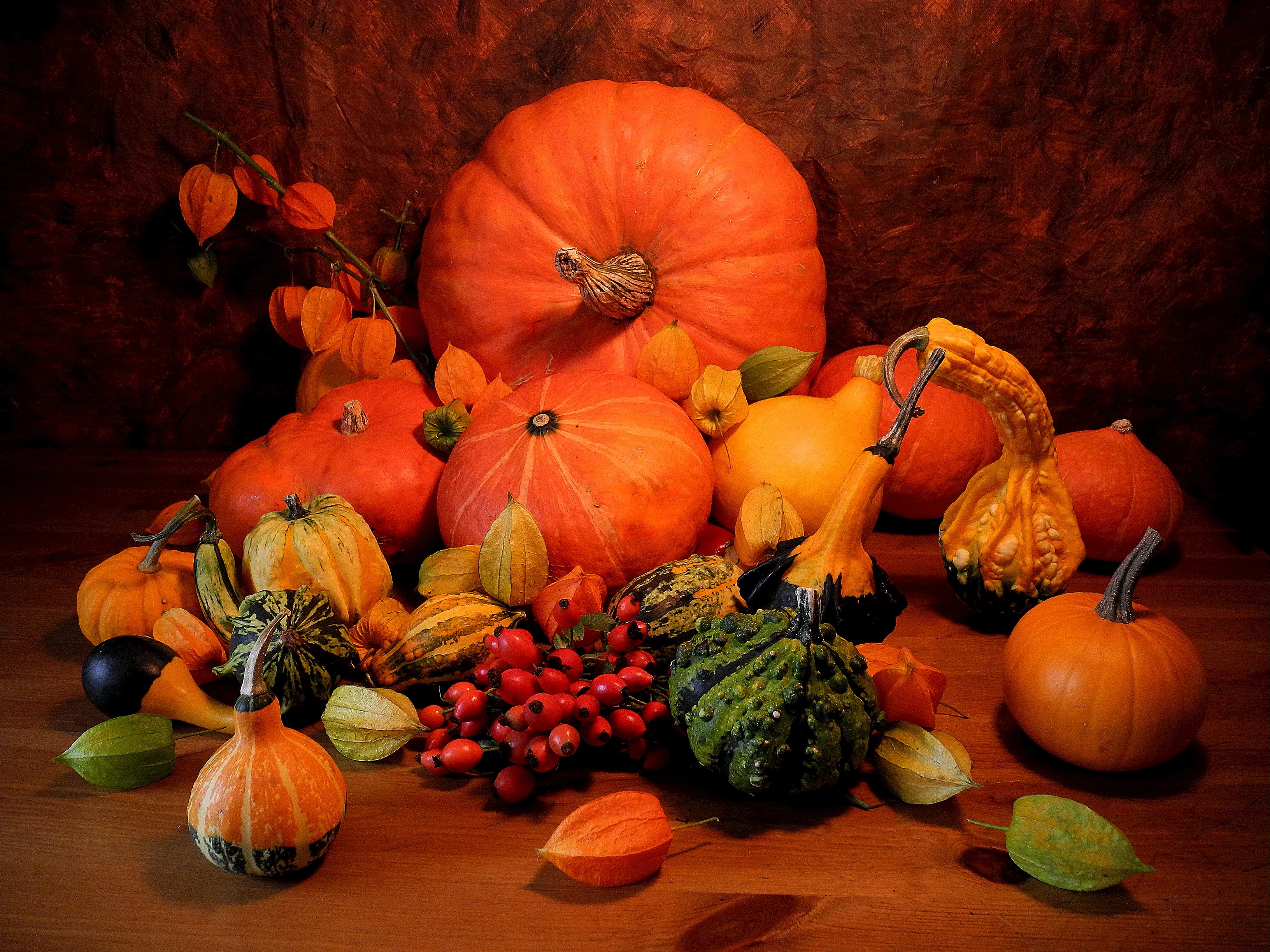 Still life of pumpkins and gourds HD Wallpaper
