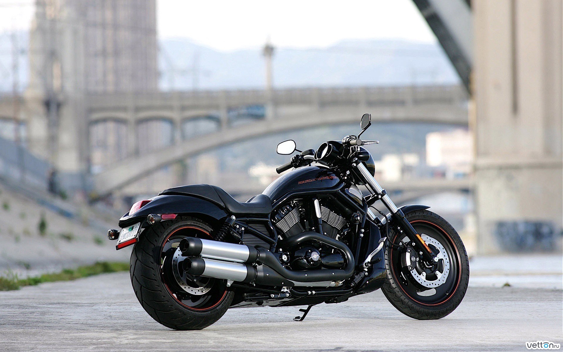 Black Harley Davidson Night Rod Motorcycle HD Wallpaper