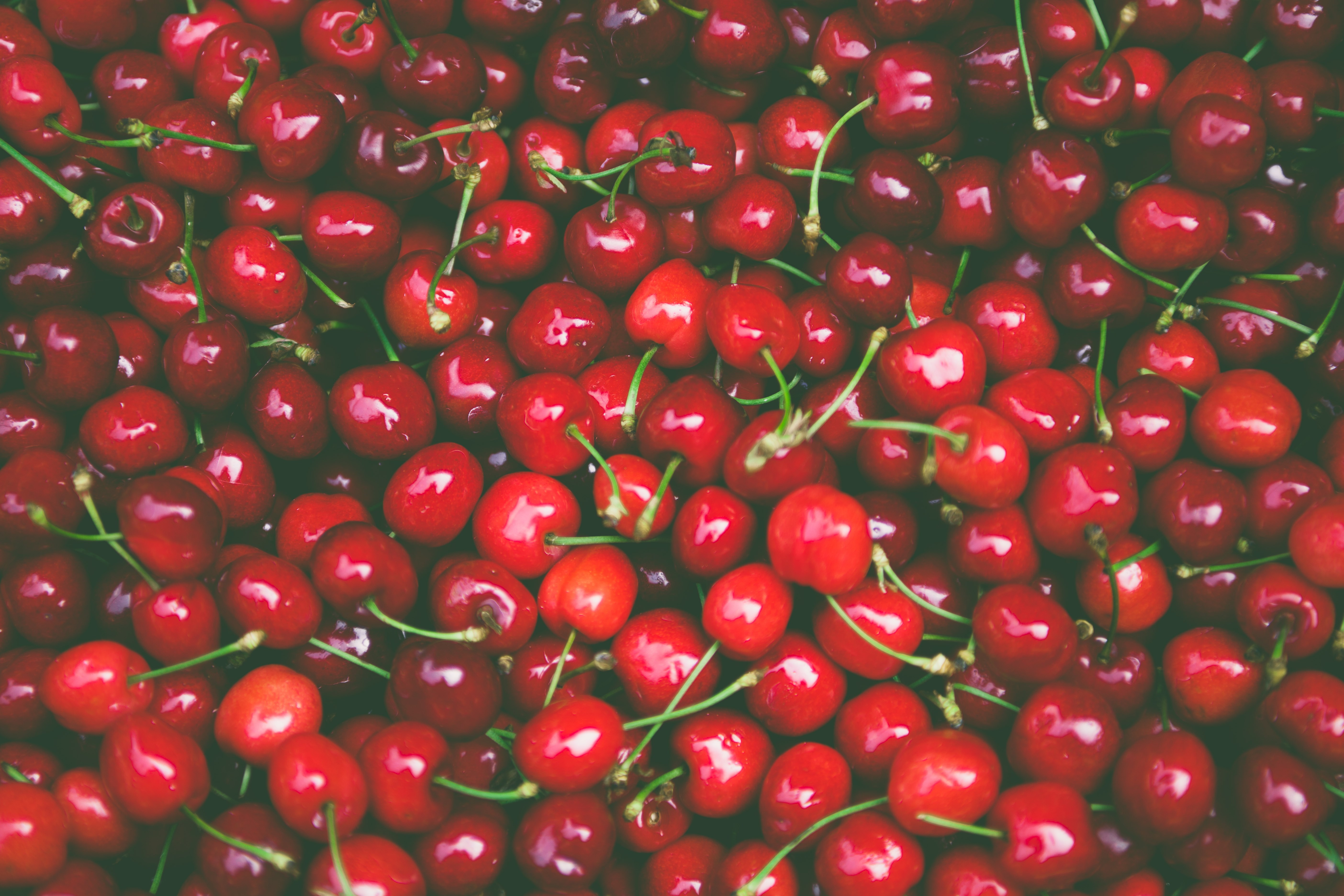 A pile of fresh cherries with stems HD Wallpaper