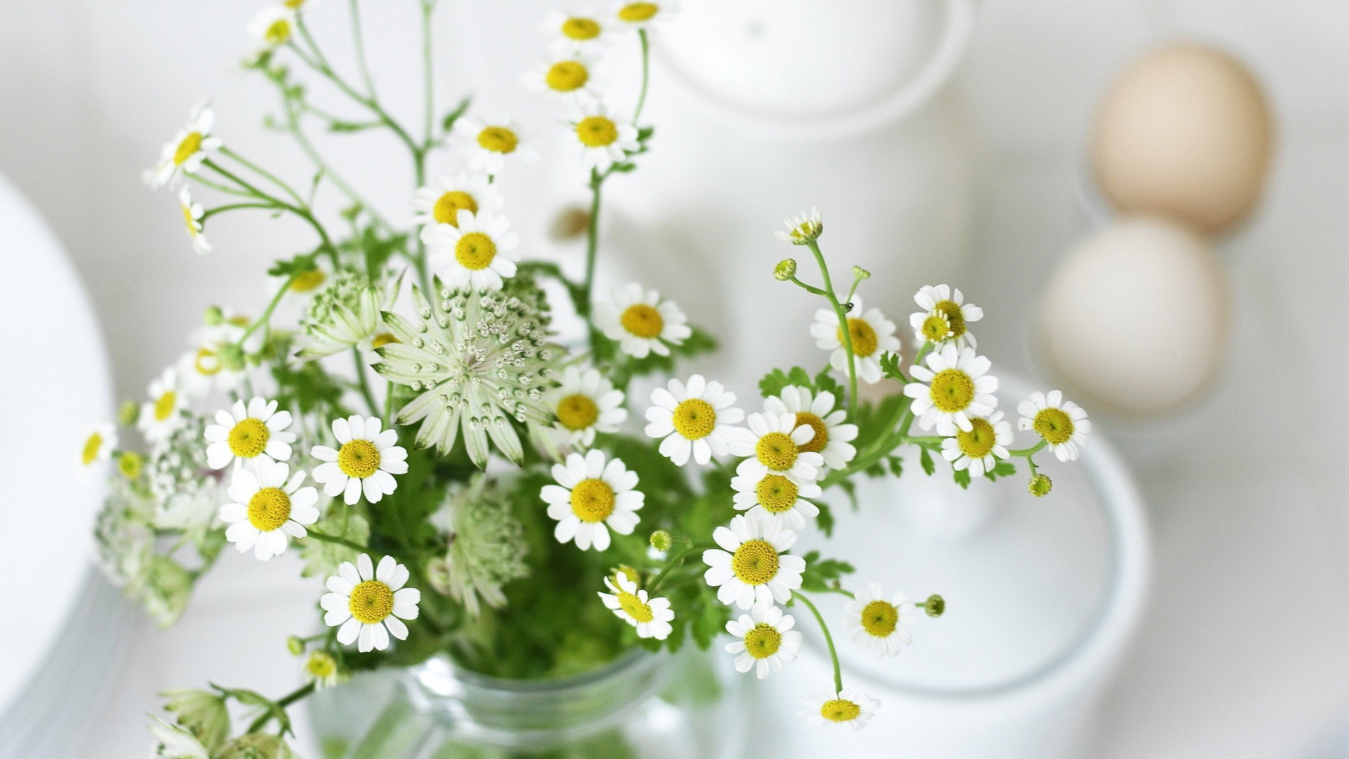 White flowers in a jar with eggs HD Wallpaper