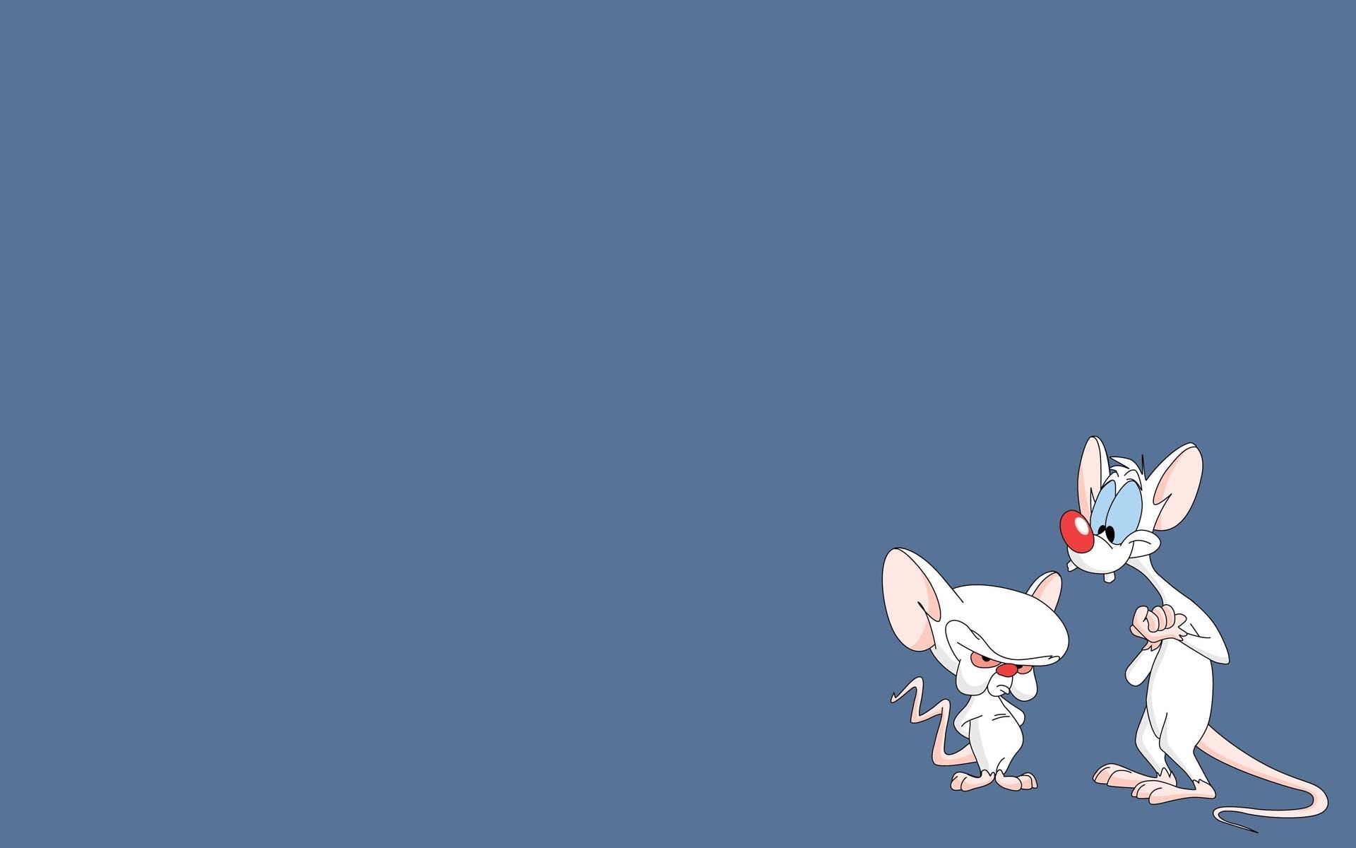 Pinky and the Brain from Pinky and the Brain HD Wallpaper