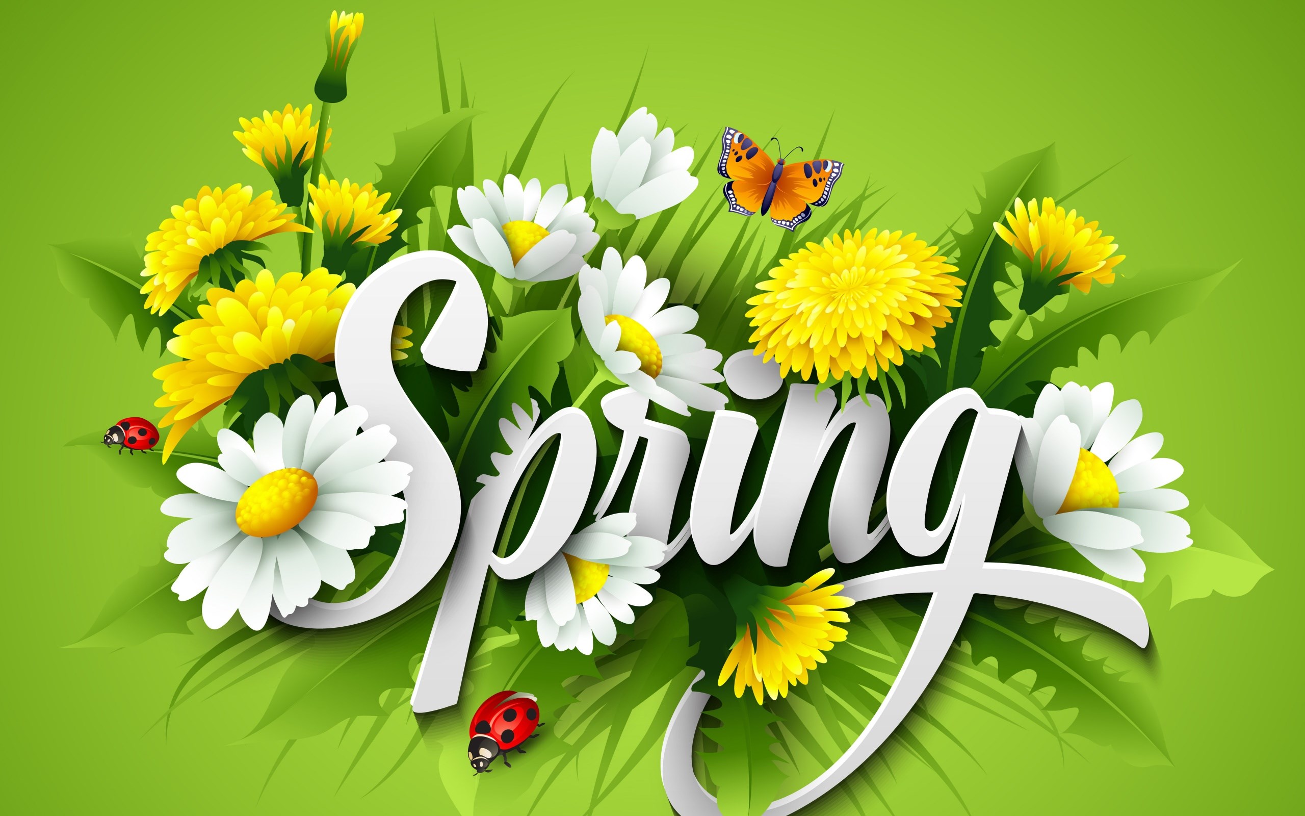 Spring flowers with butterflies and ladybugs HD Wallpaper