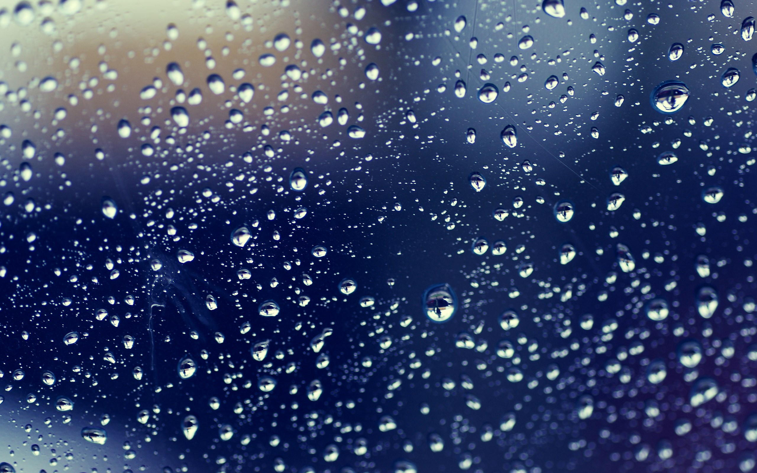 Raindrops on a dark blue surface HD Wallpaper