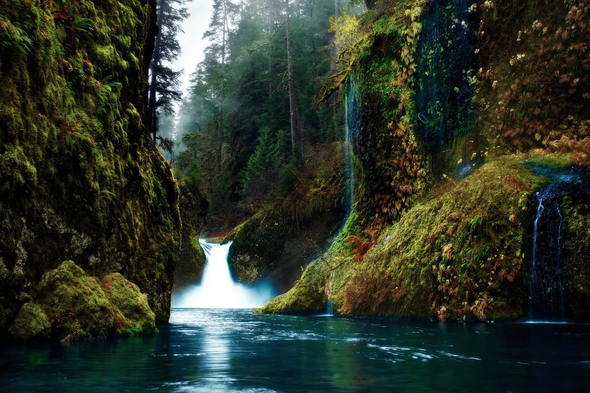 Waterfall in a mossy forest HD Wallpaper