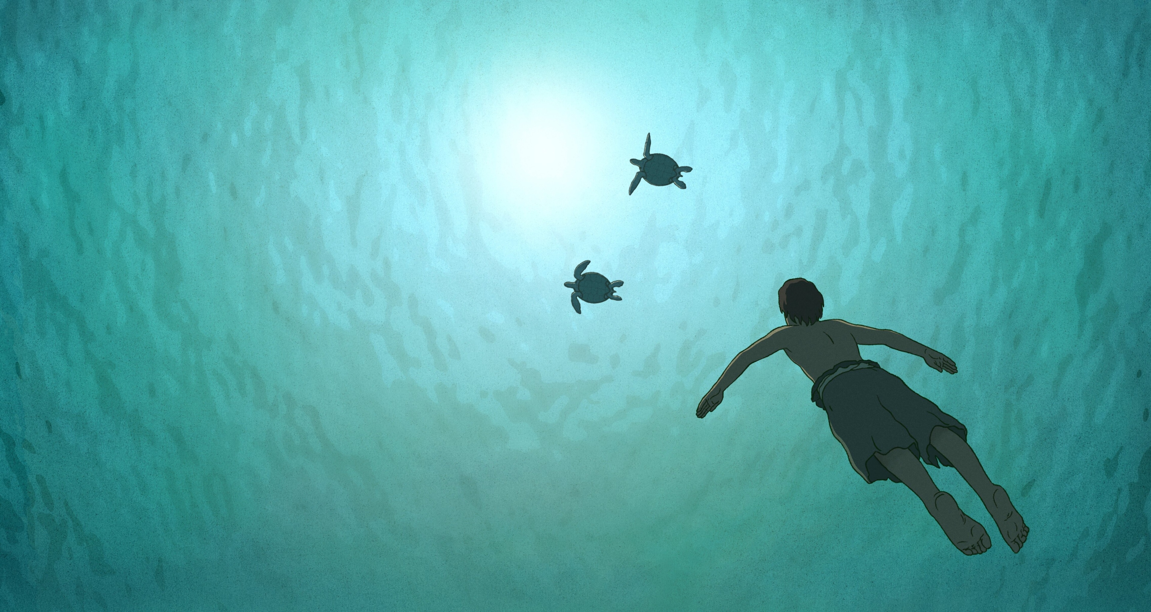 The Red Turtle 4K HD Wallpaper