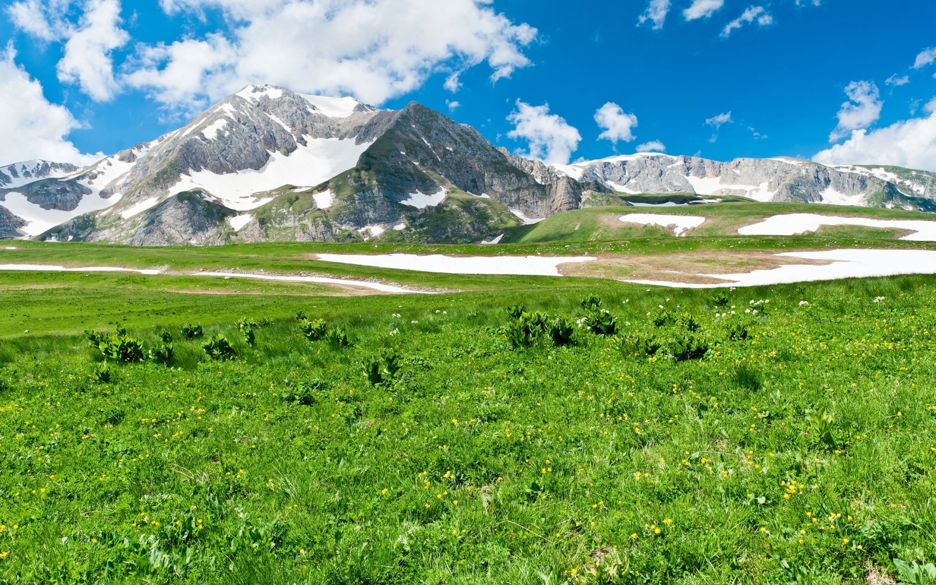 Green meadow with snow-capped mountains under a blue sky HD Wallpaper