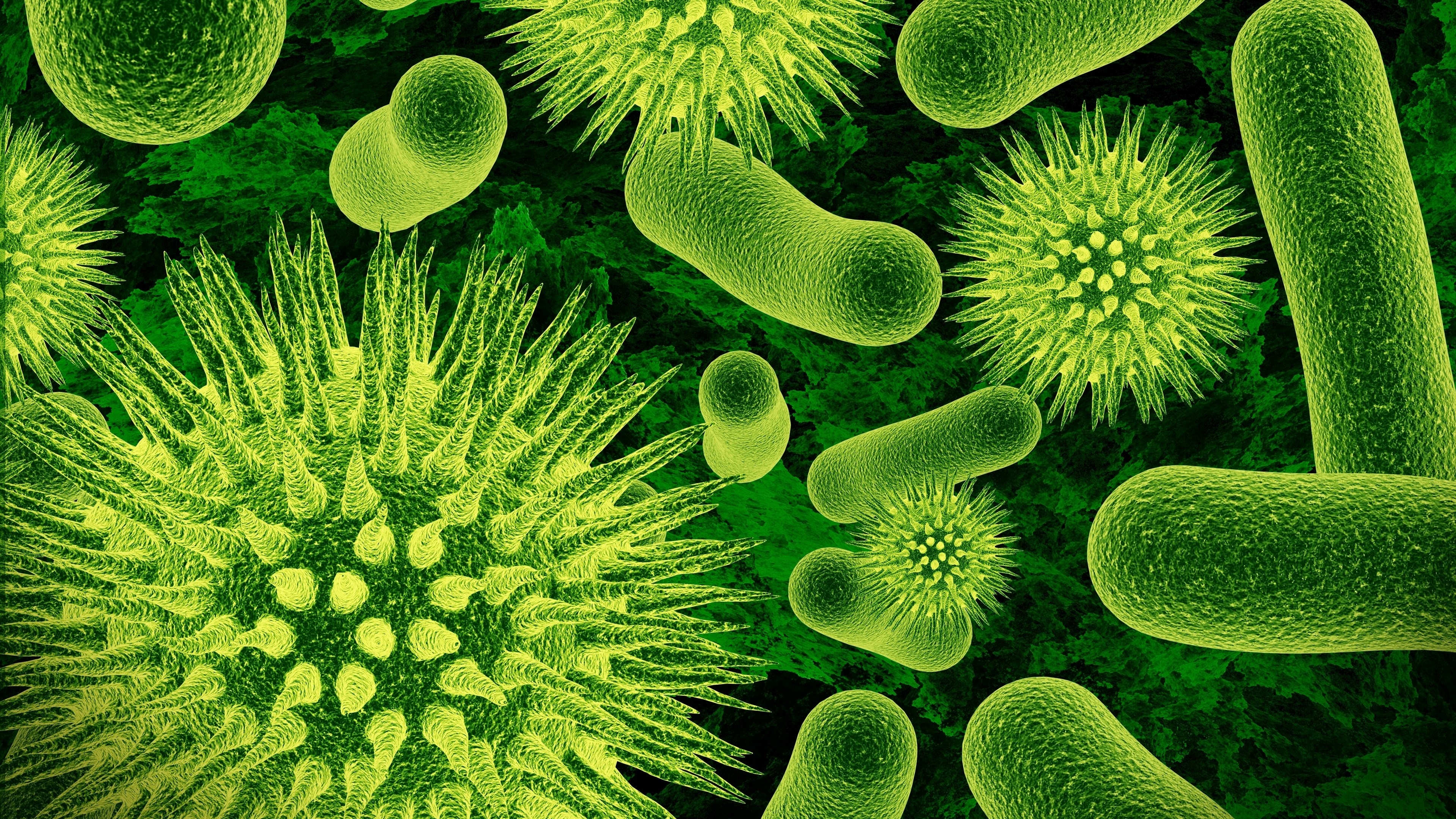 Bacteria 4K HD Wallpaper