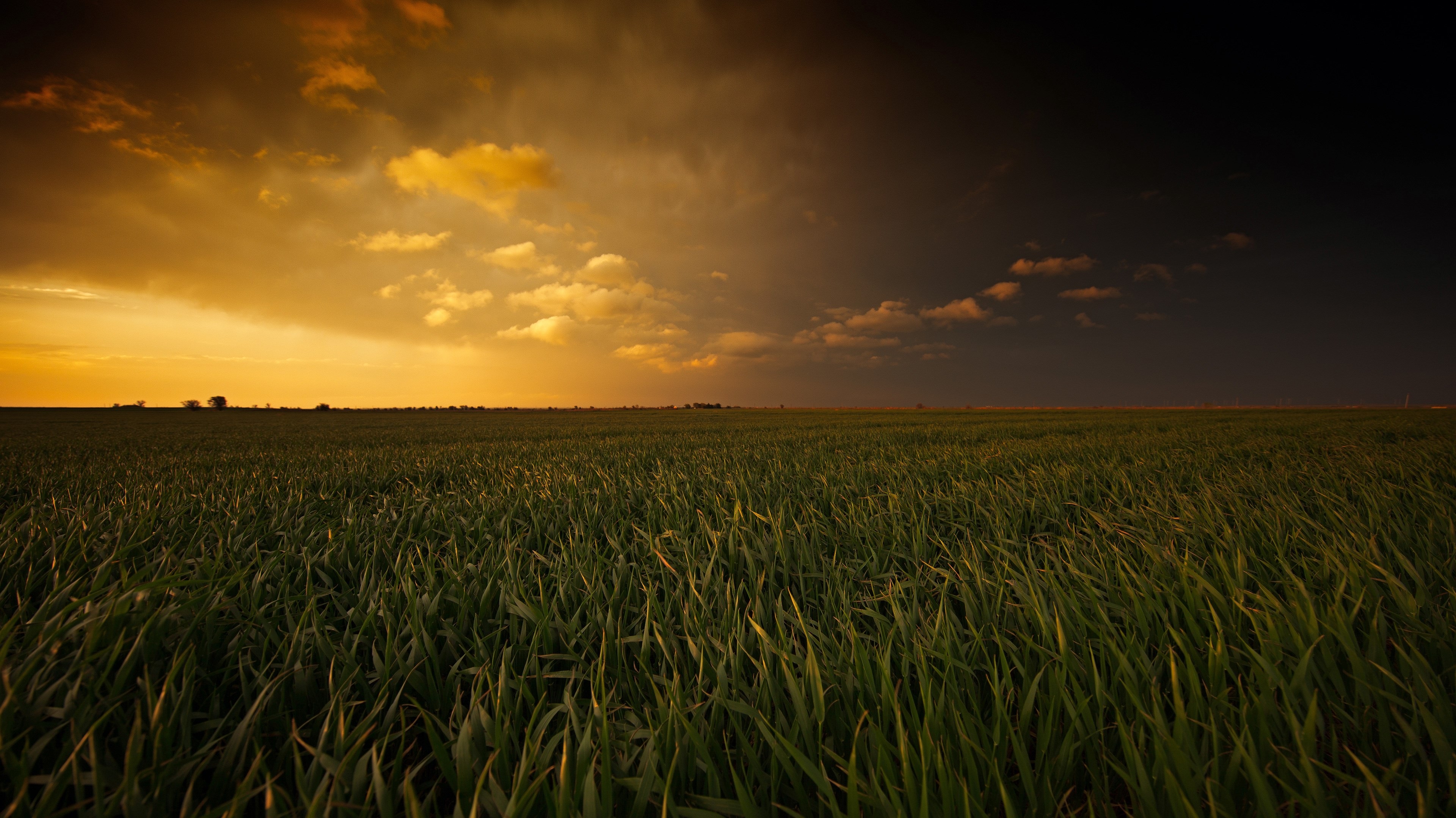 Field under dramatic sunset sky 4K HD Wallpaper