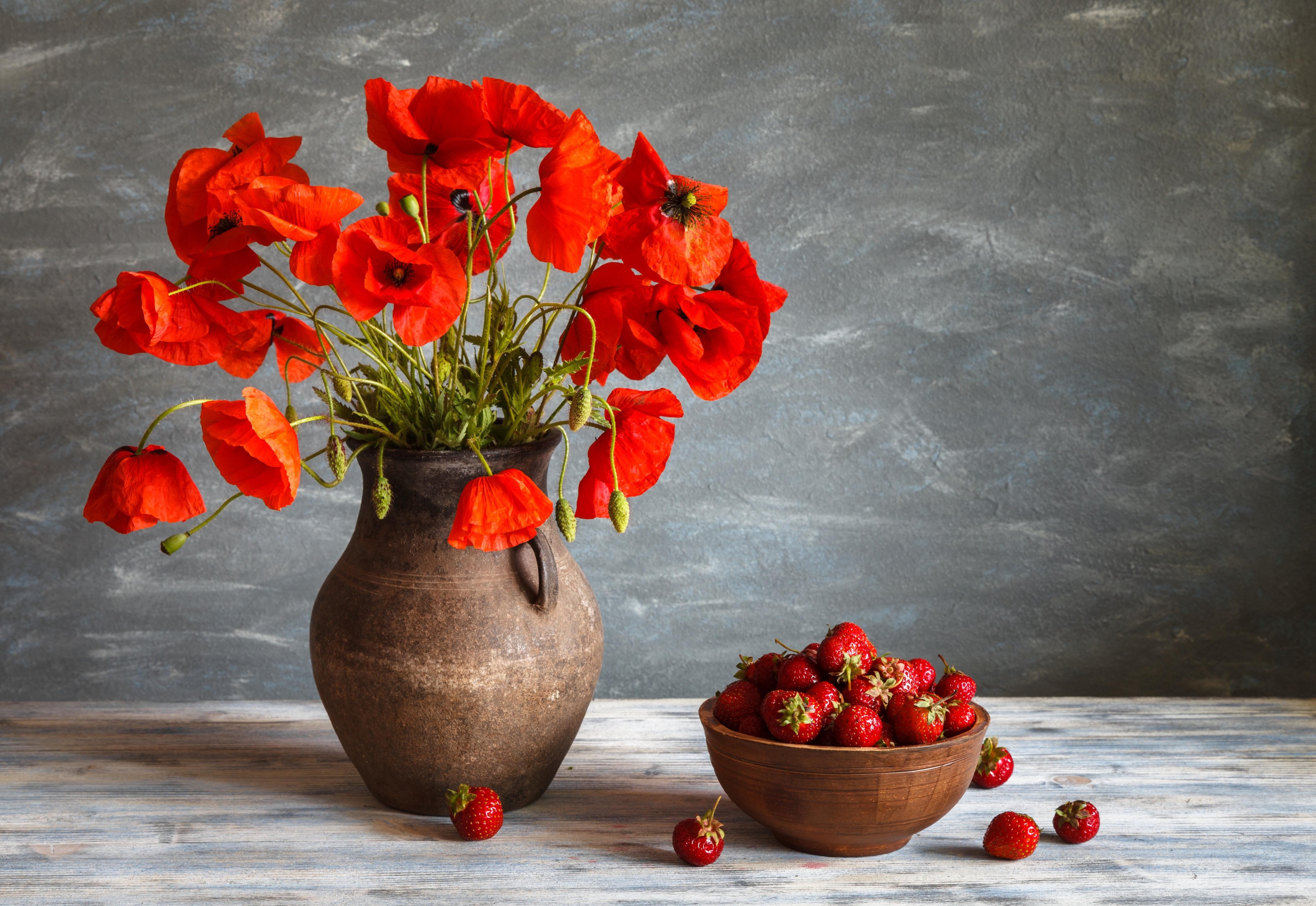 4K Still Life with Red Poppies and Strawberries HD Wallpaper