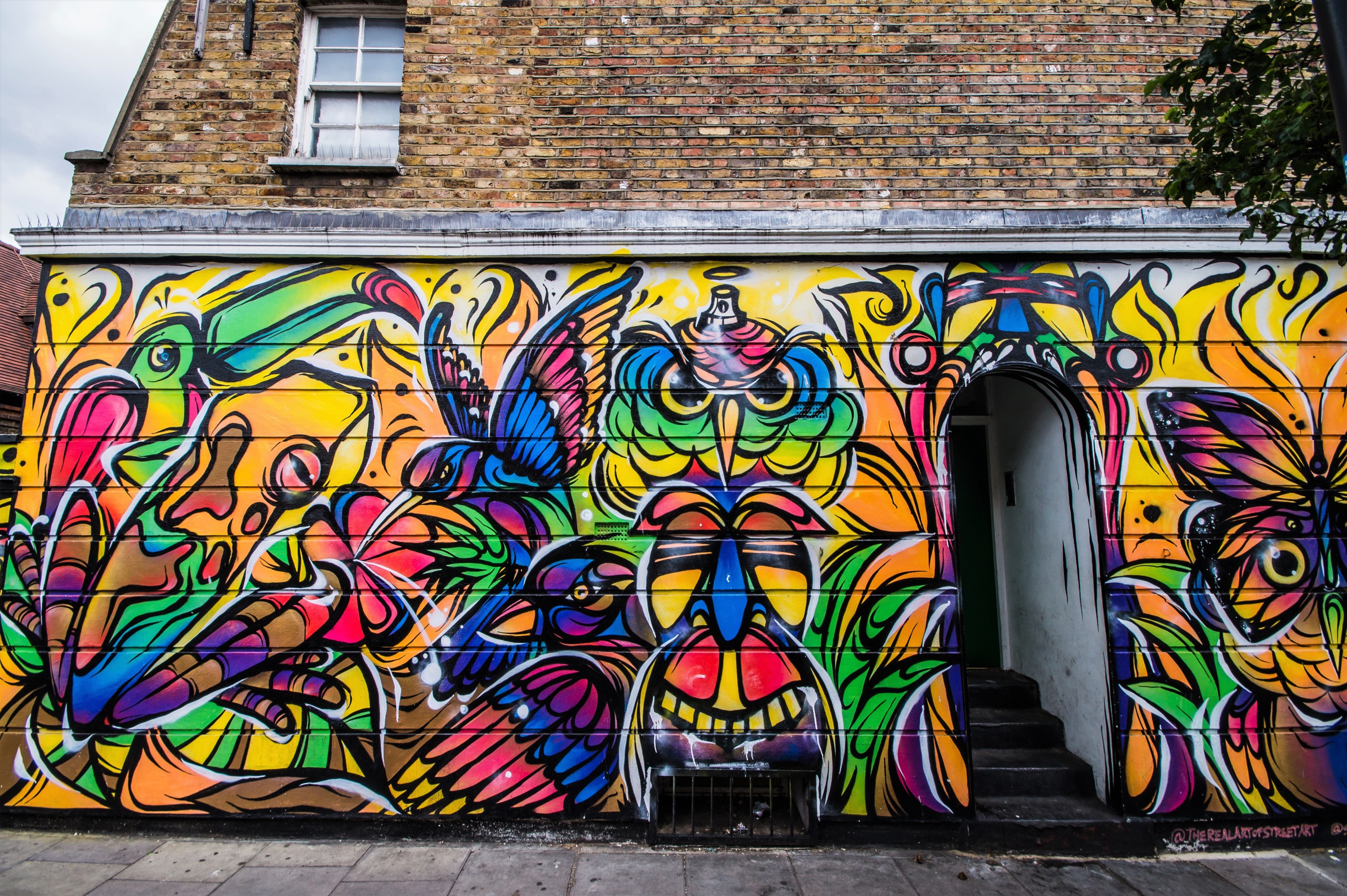 Graffiti art with birds and owl on brick building HD Wallpaper