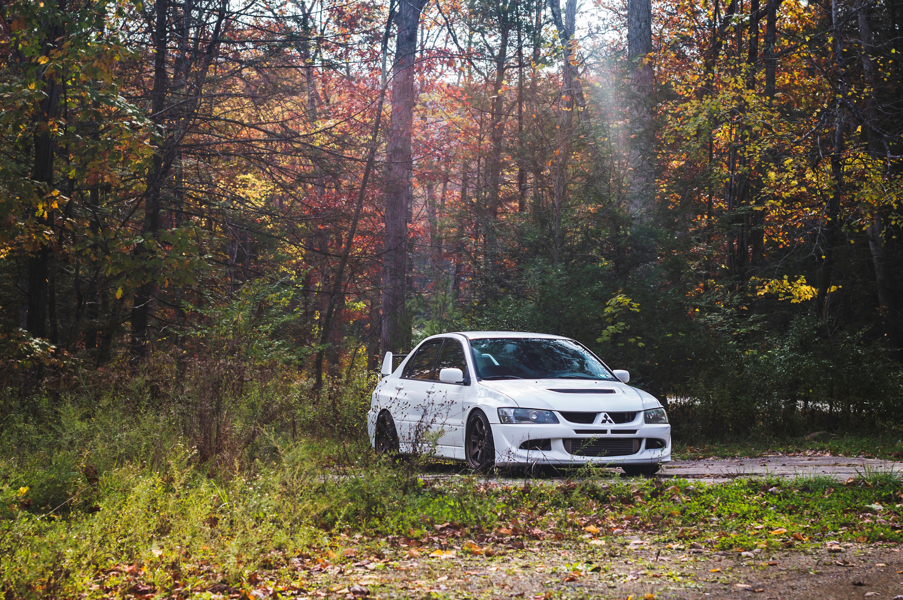 White Mitsubishi Lancer Evolution VIII in Autumn Forest HD Wallpaper