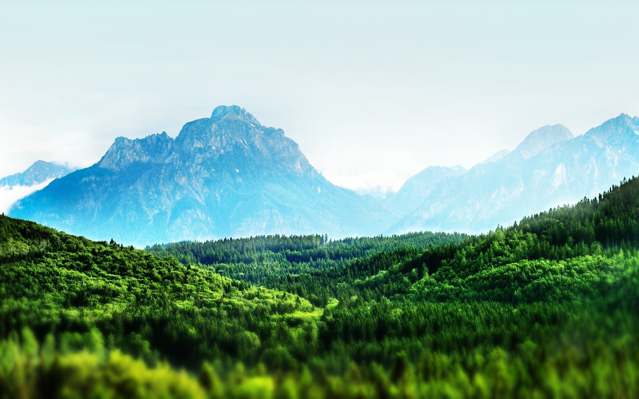 Mountain range with green forest and clear sky HD Wallpaper