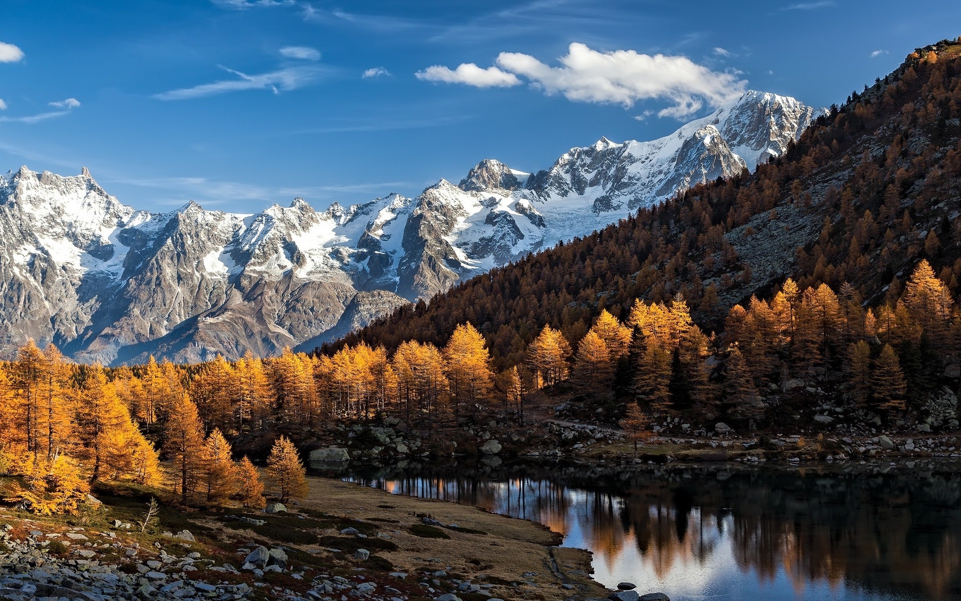 Autumn Forest by Alpine Lake with Snowy Mountain Peaks HD Wallpaper