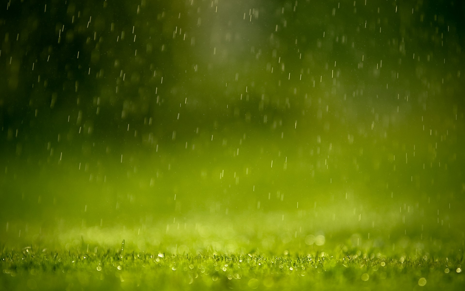 Rain falling on green grass with bokeh HD Wallpaper