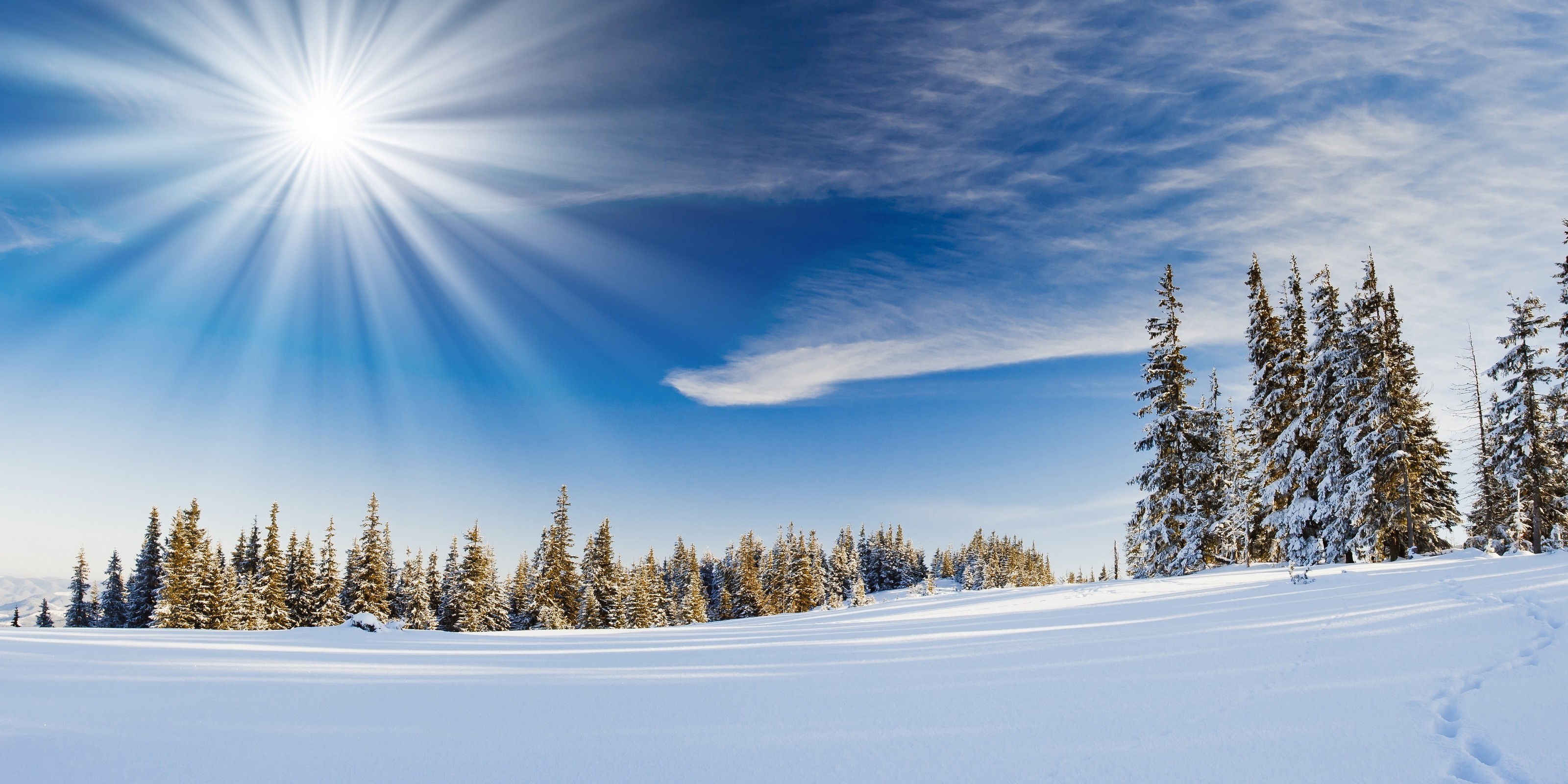 Winter snow landscape with sun and trees HD Wallpaper