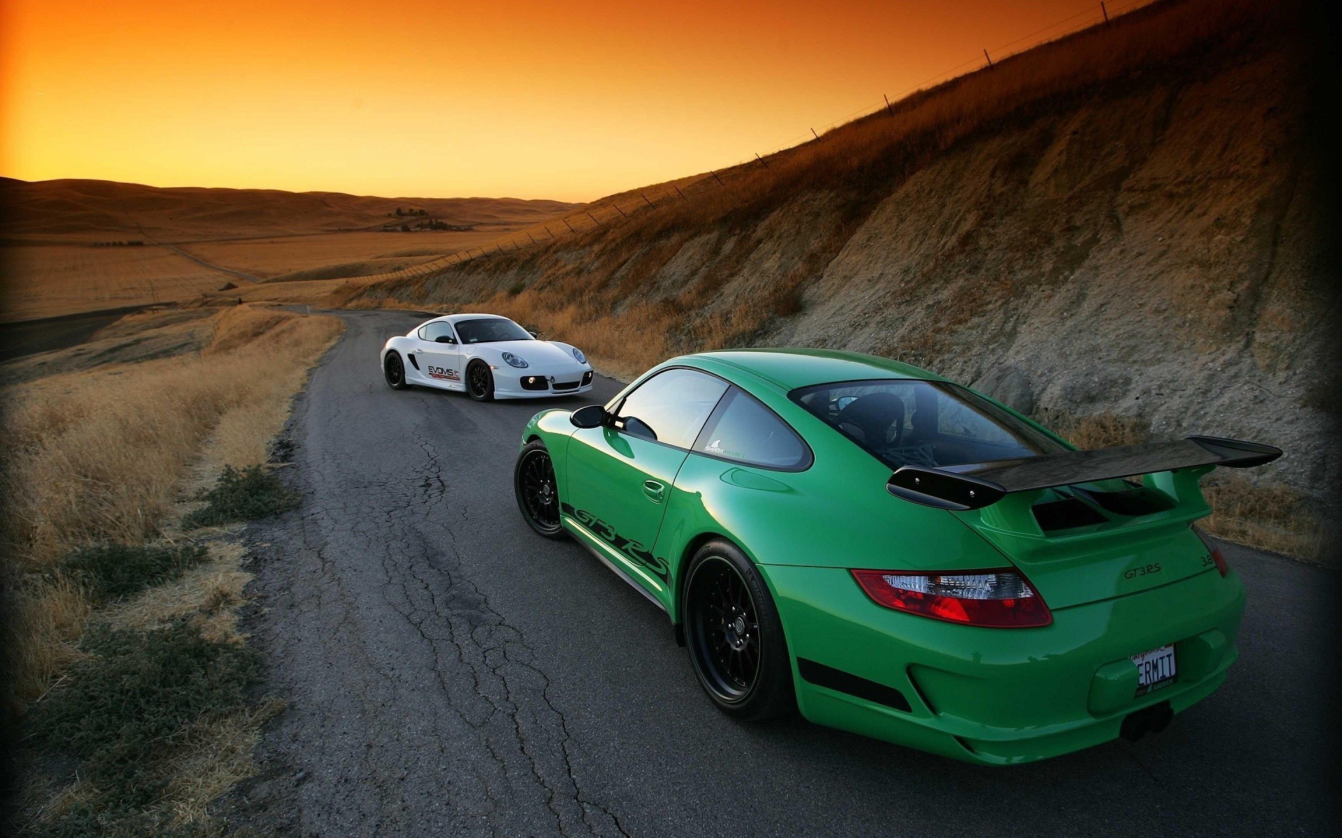 Green and white Porsche cars on a road at sunset HD Wallpaper