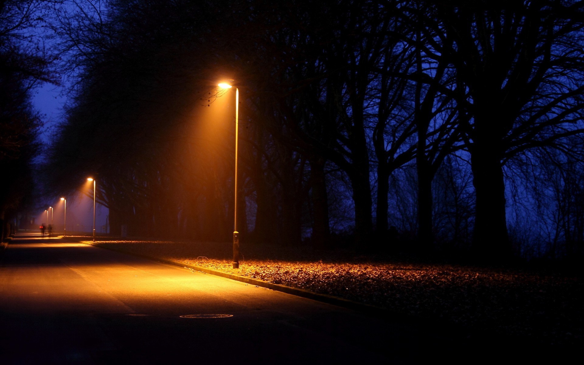 Streetlights illuminate a foggy path at night HD Wallpaper