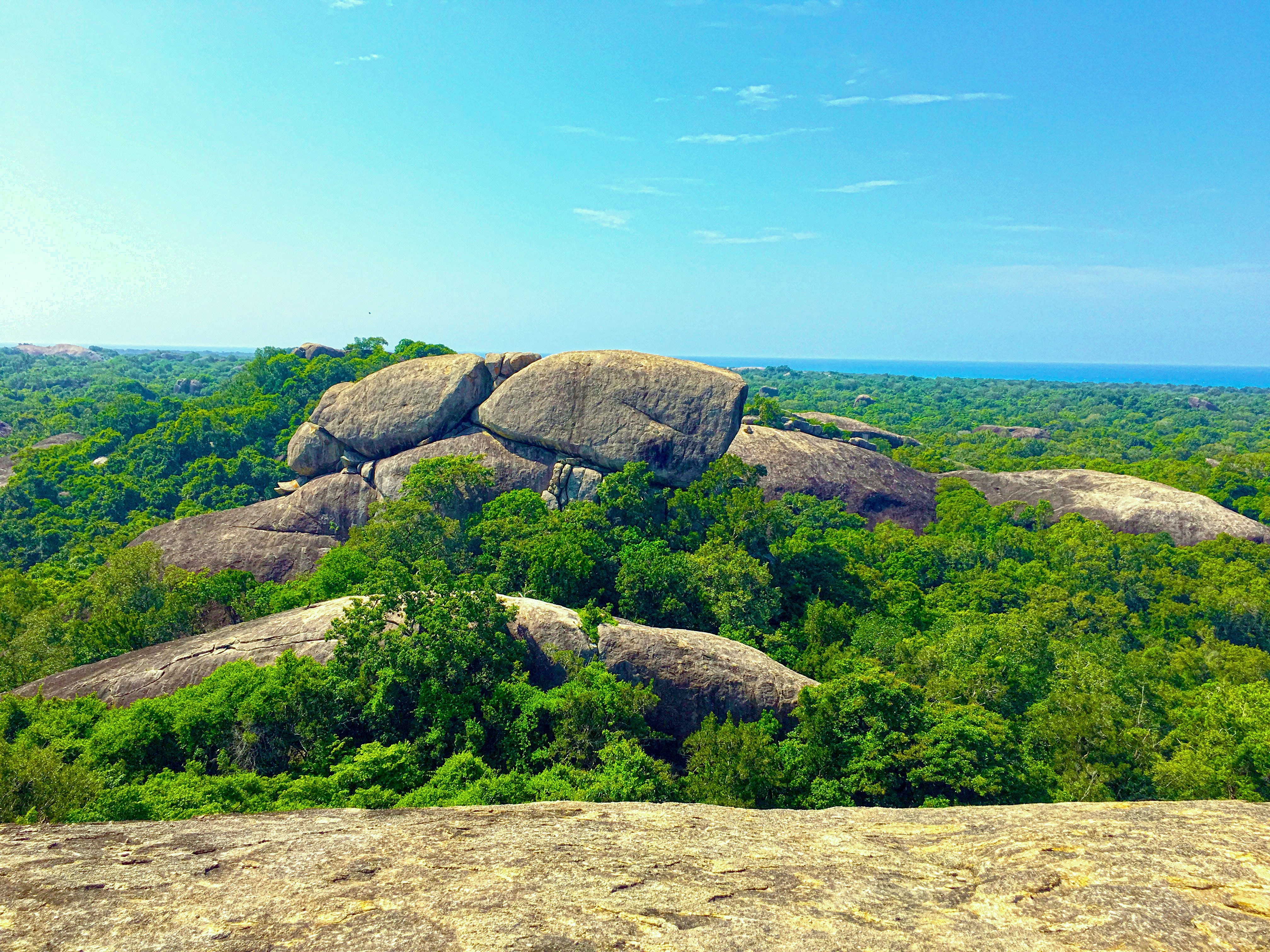 Lush Sri Lanka Forest with Rocky Outcrops HD Wallpaper