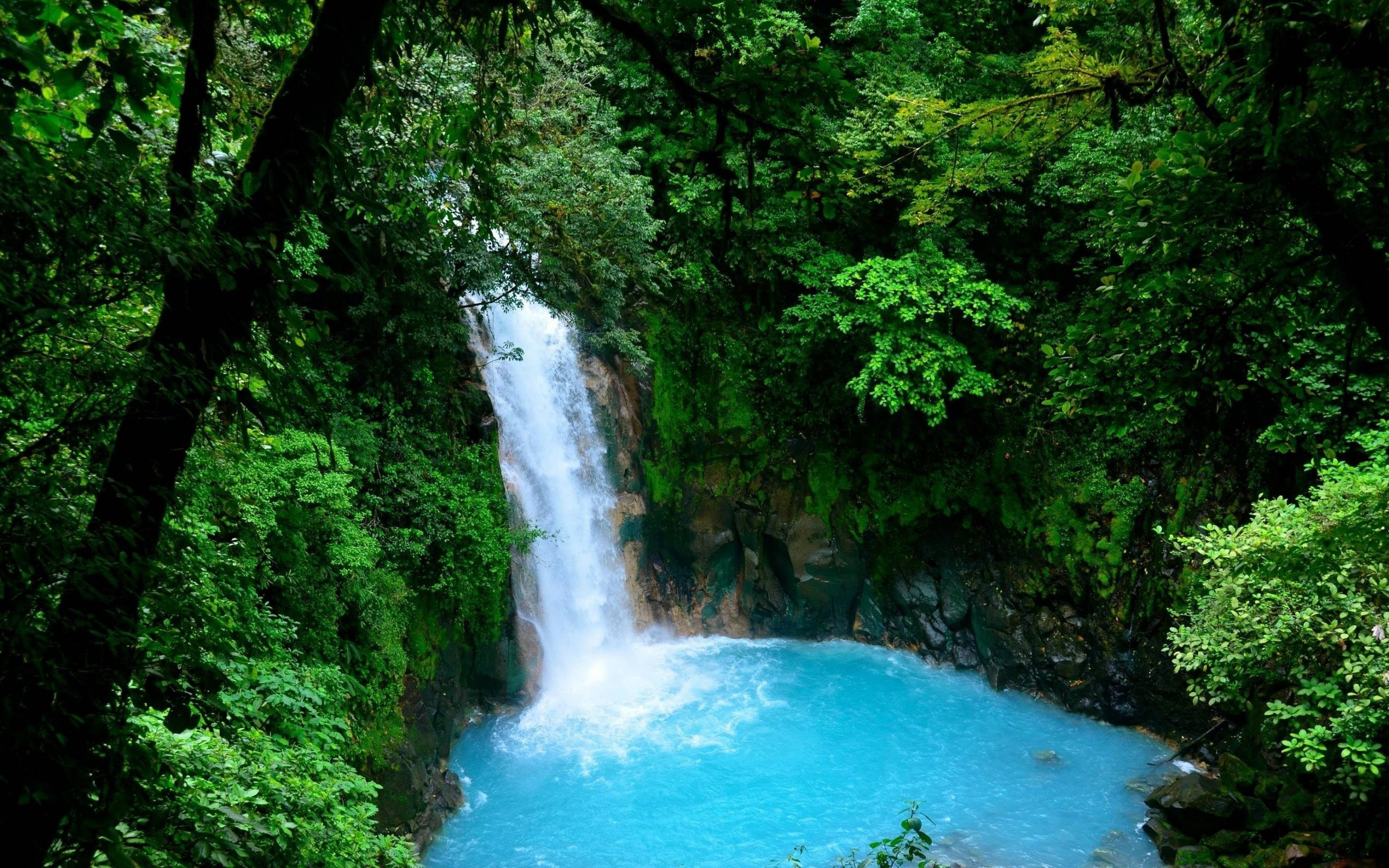 Waterfall in a lush green forest with blue water HD Wallpaper