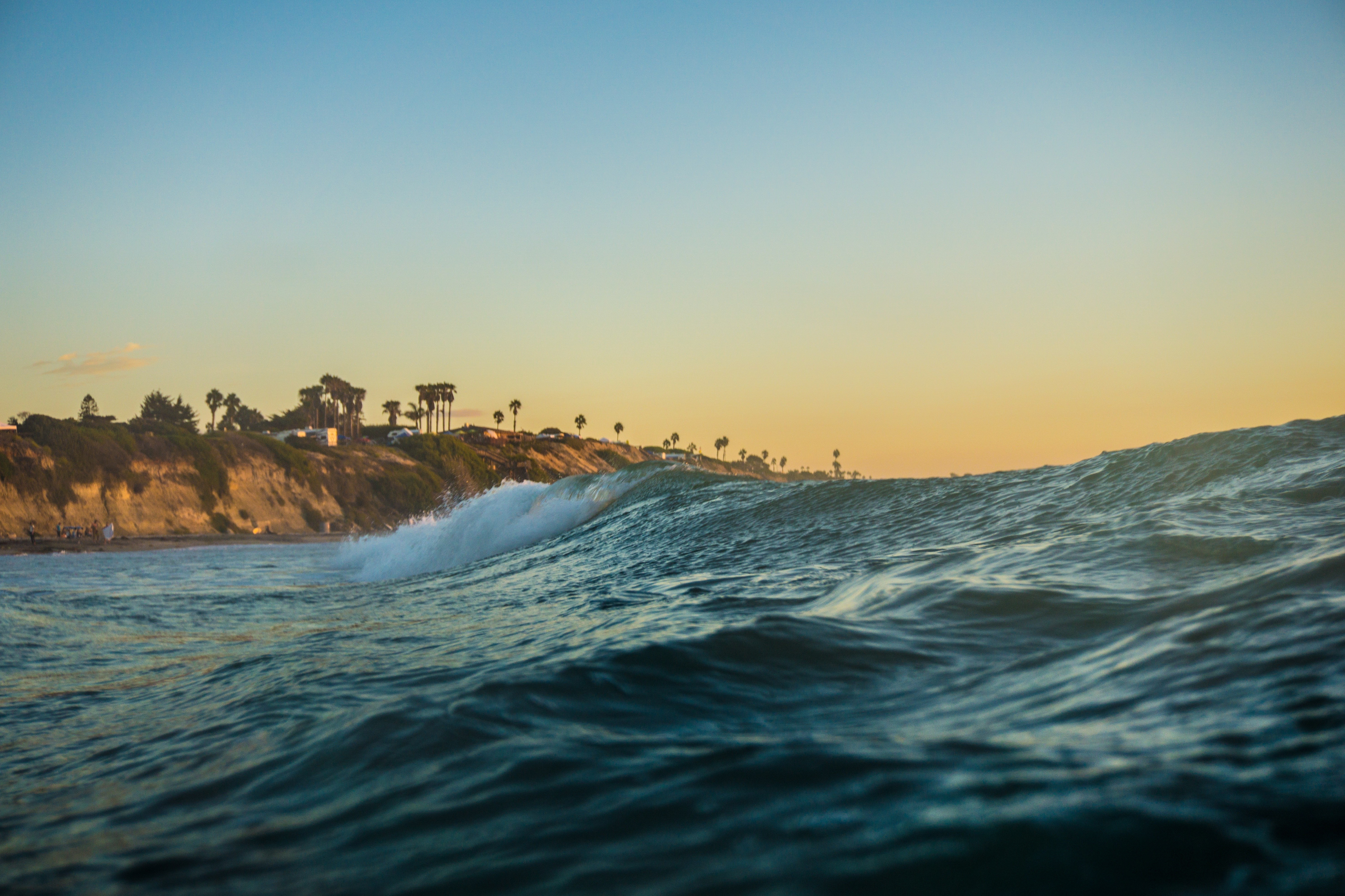 Ocean wave crashing near a cliffside with palm trees HD Wallpaper