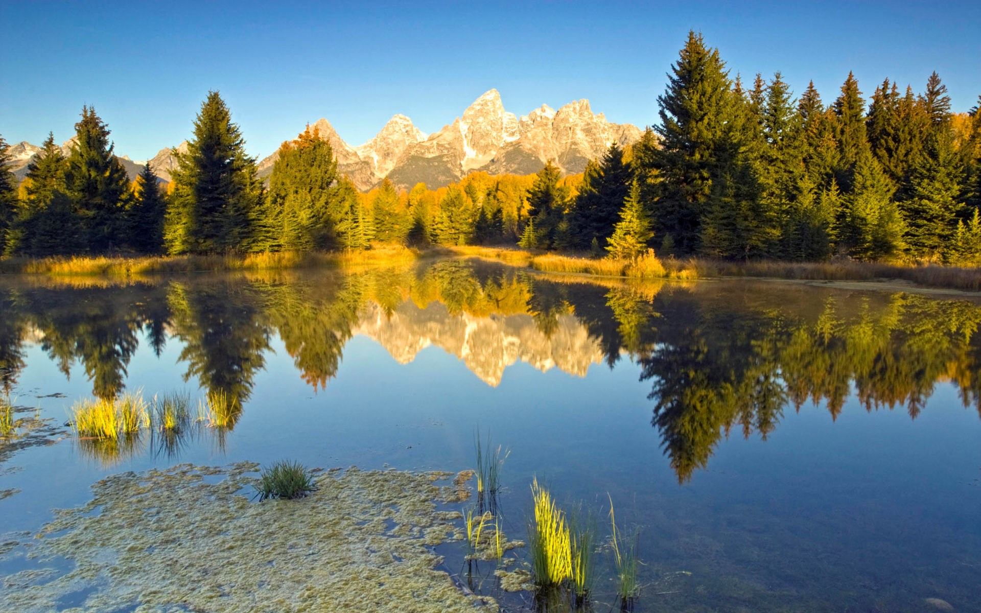 Mountain Range Reflected in a Lake with Pine Trees HD Wallpaper
