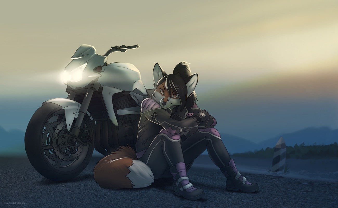 Furry fox biker with motorcycle at sunset HD Wallpaper