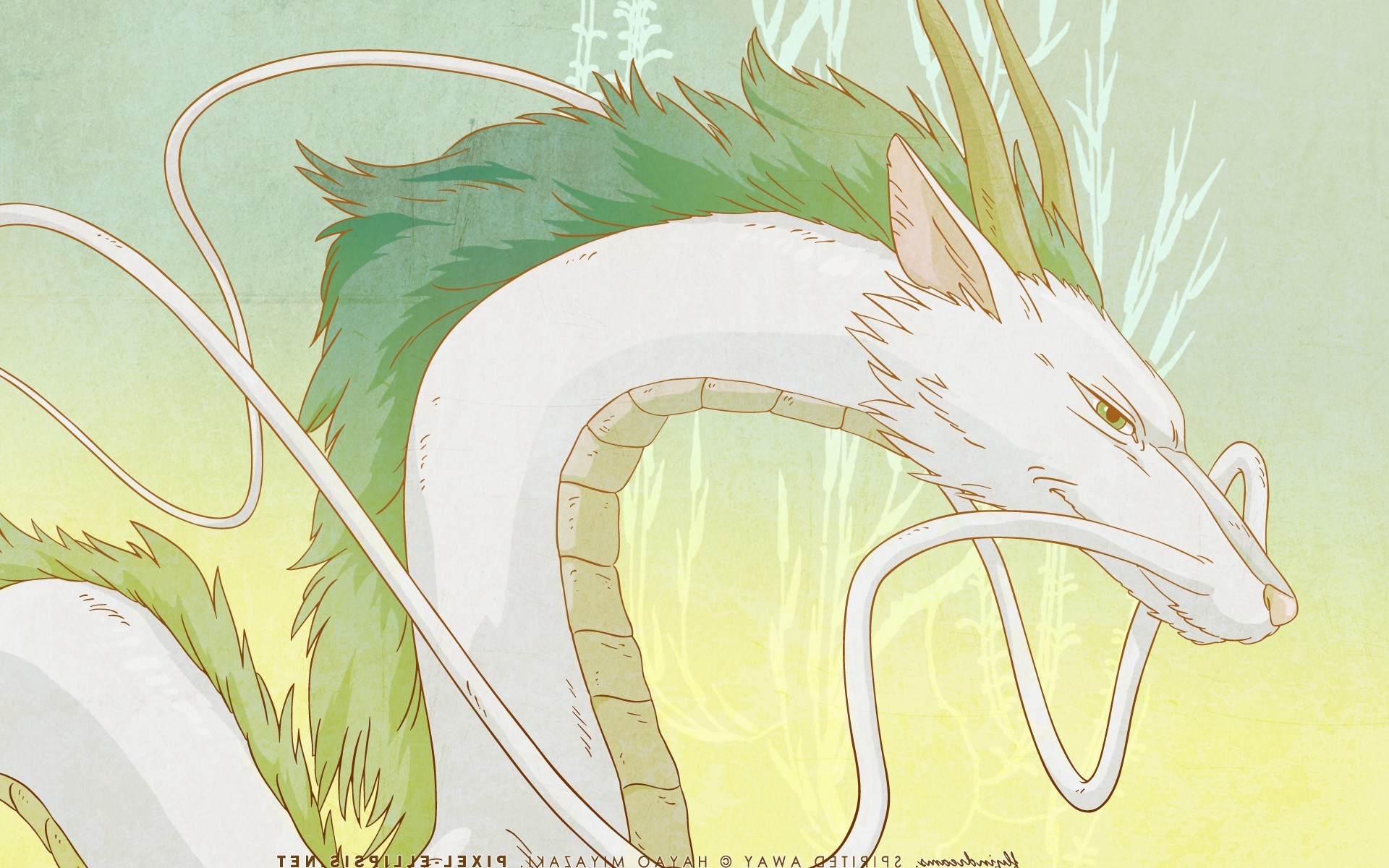 Haku the Dragon from Spirited Away HD Wallpaper