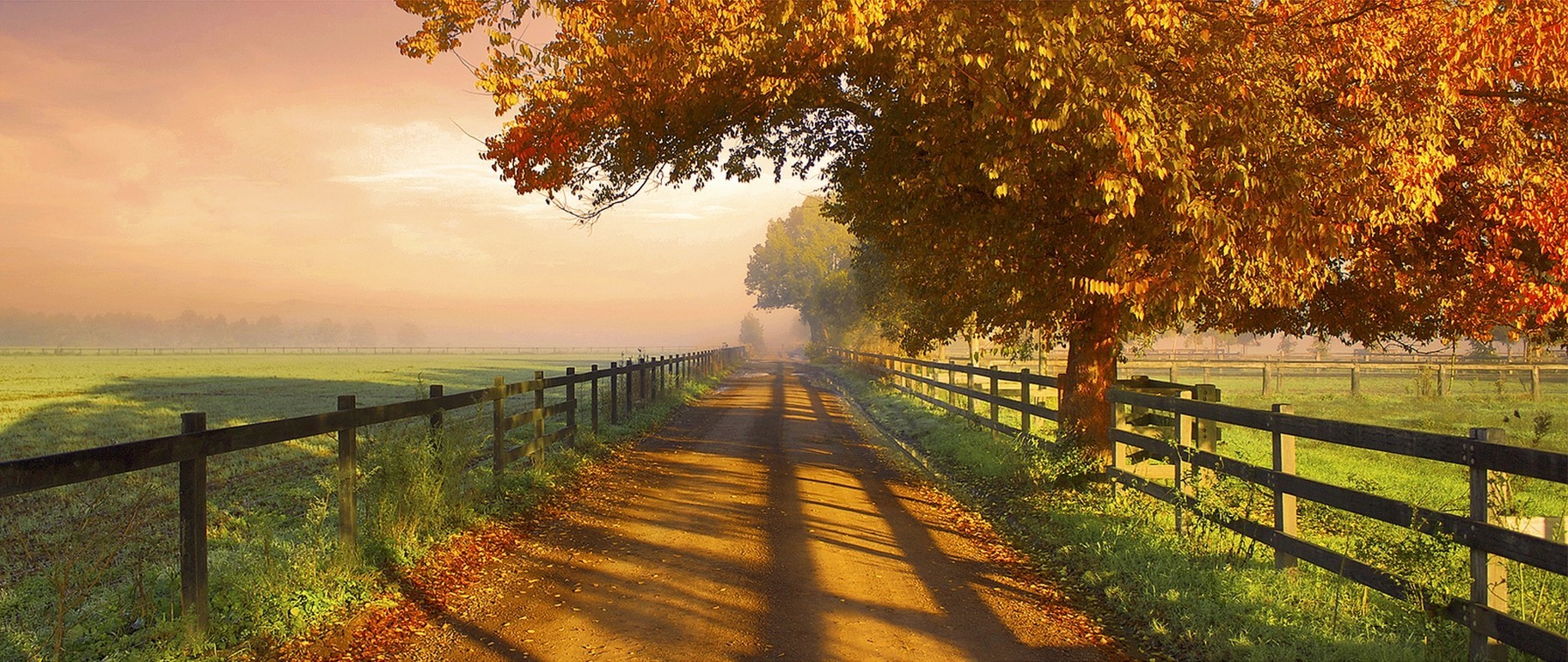 Dirt road lined with fences and autumn trees at sunrise HD Wallpaper
