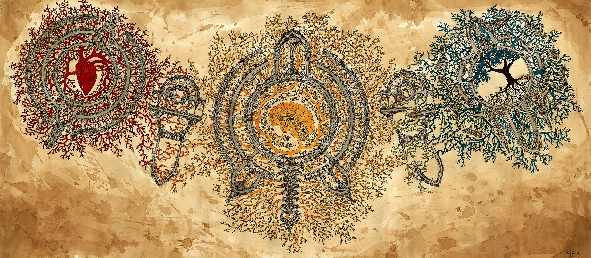 Three circular emblems with organic designs on parchment HD Wallpaper