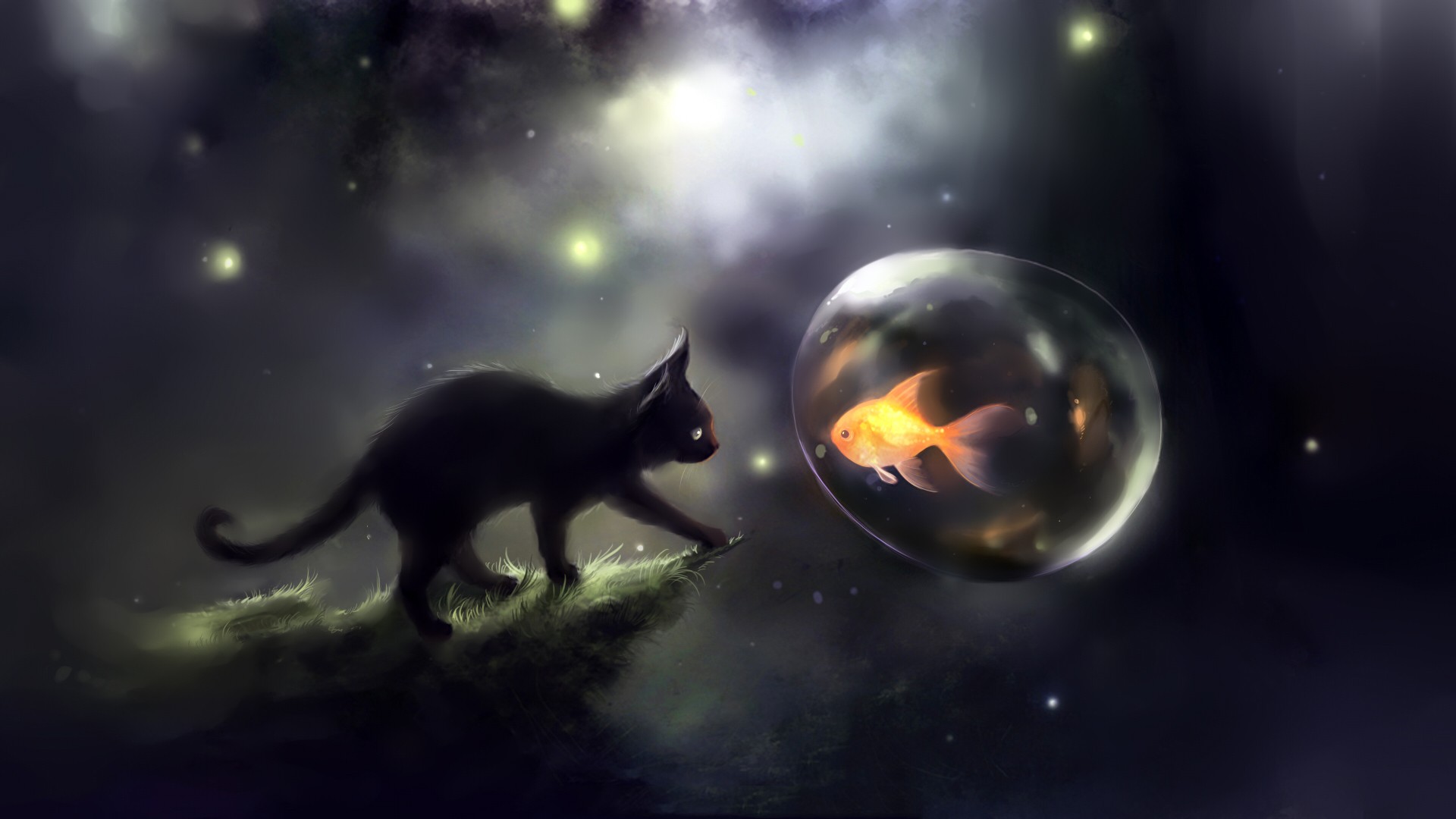 Black cat looking at a goldfish in a bubble HD Wallpaper