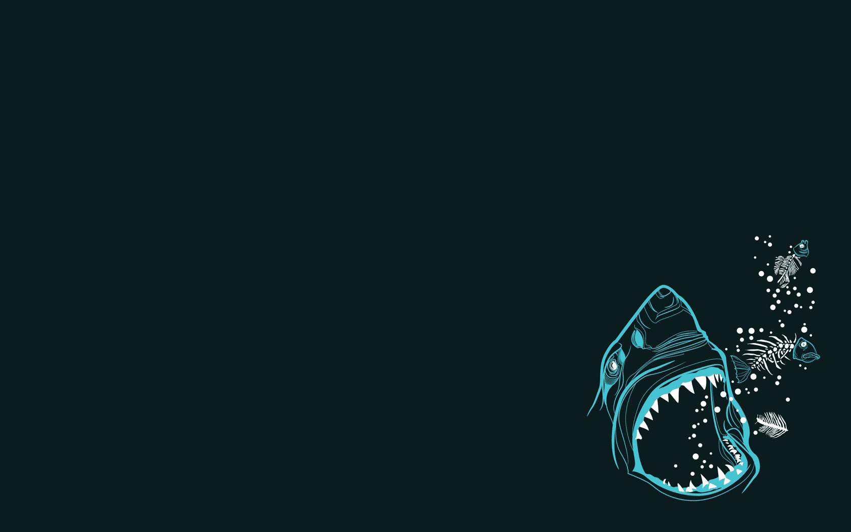 Minimalist shark and fish skeletons HD Wallpaper