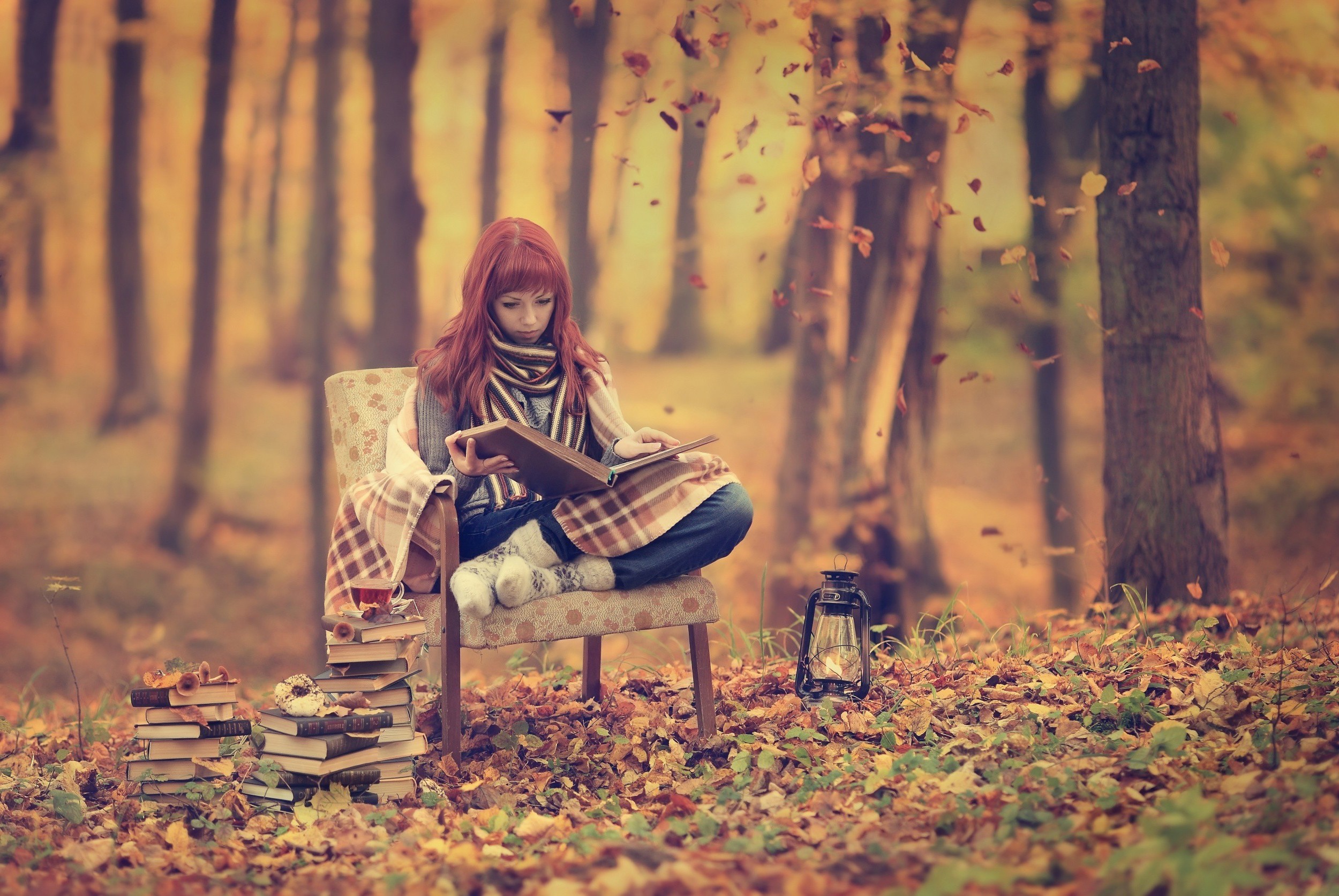 Woman reading in a forest during autumn HD Wallpaper