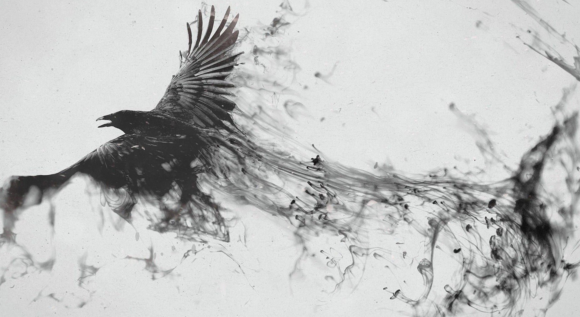 A raven dissolving into ink in flight HD Wallpaper