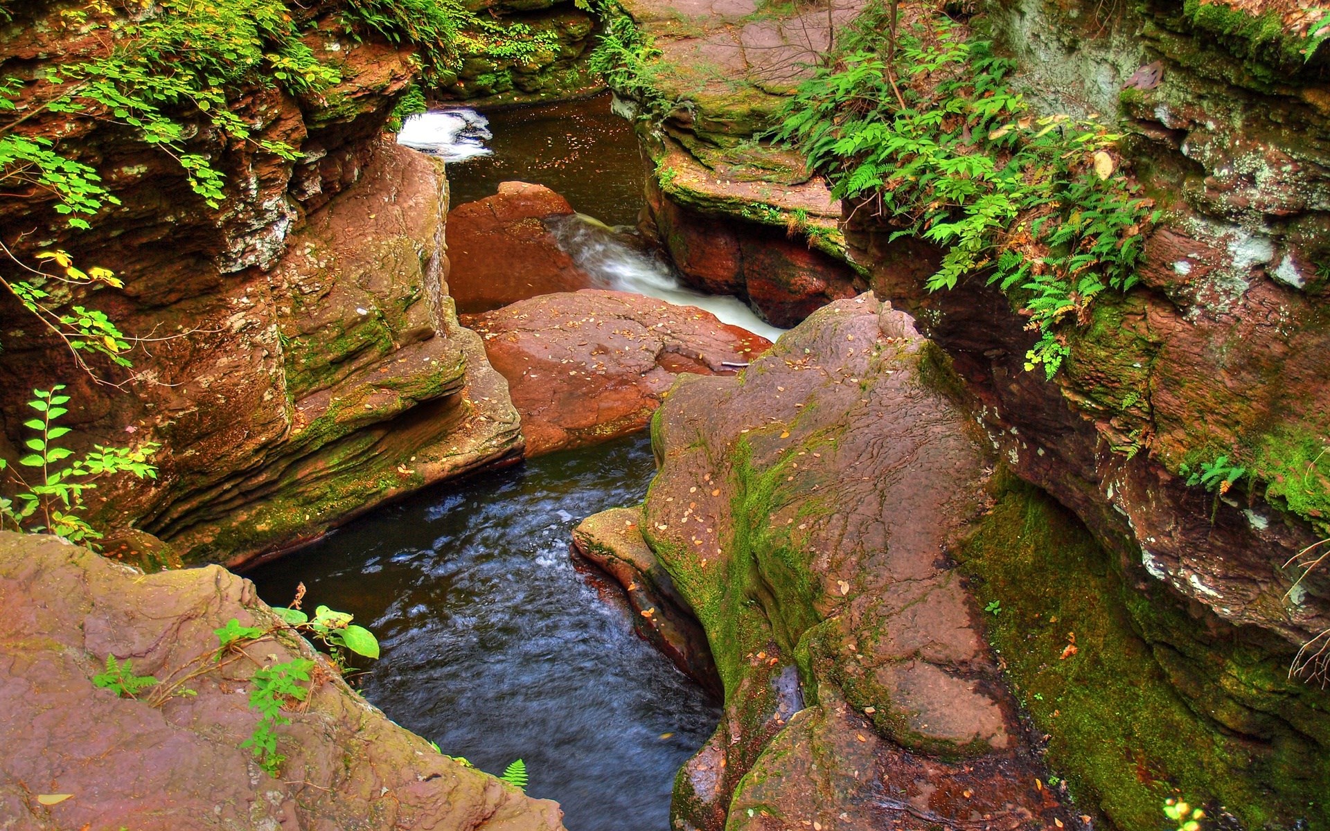 A narrow gorge with a river flowing through it HD Wallpaper
