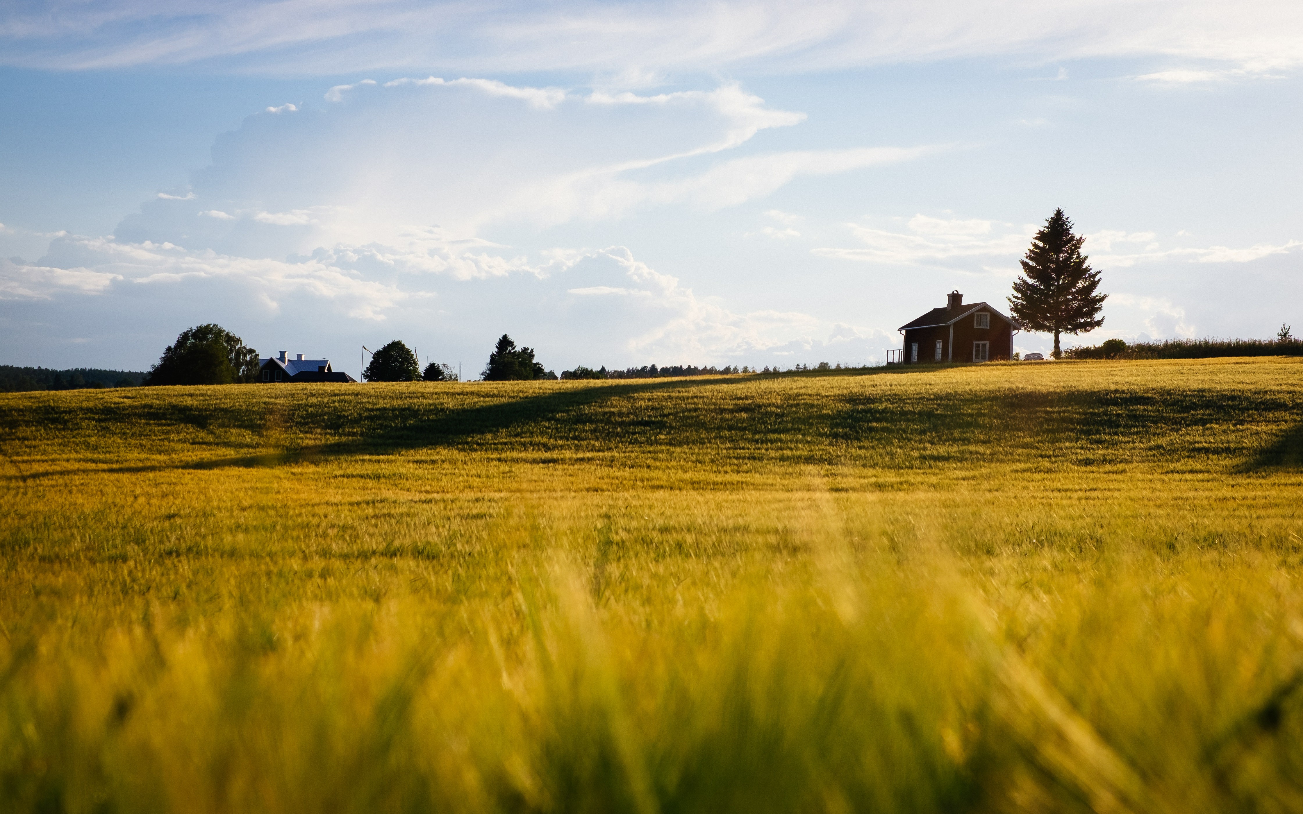 Rural landscape with house and field HD Wallpaper